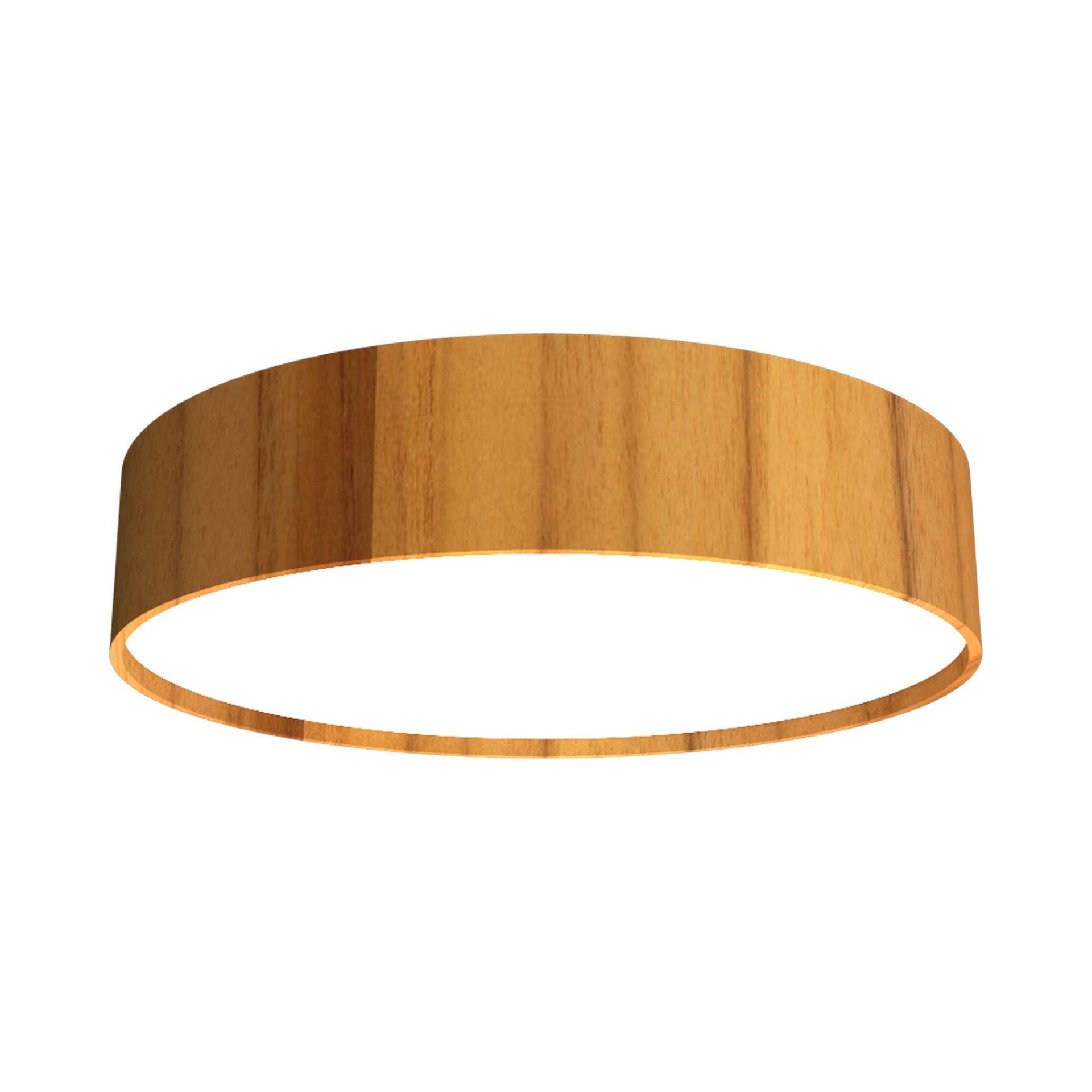 Cylindrical LED Flush Mount Ceiling Light