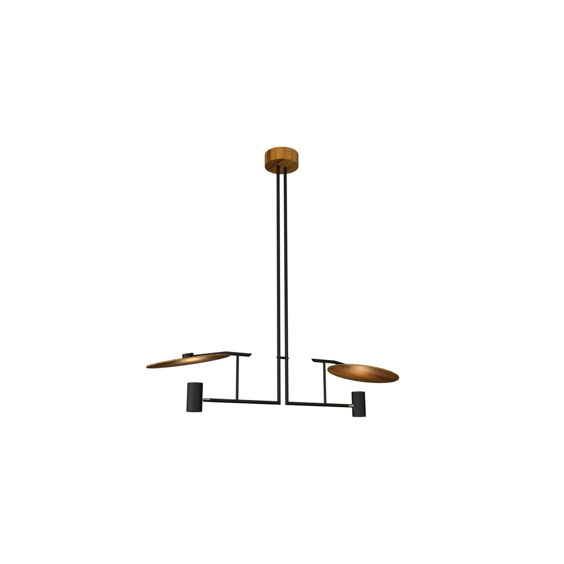 2 - Light Unique/Statement Pendant