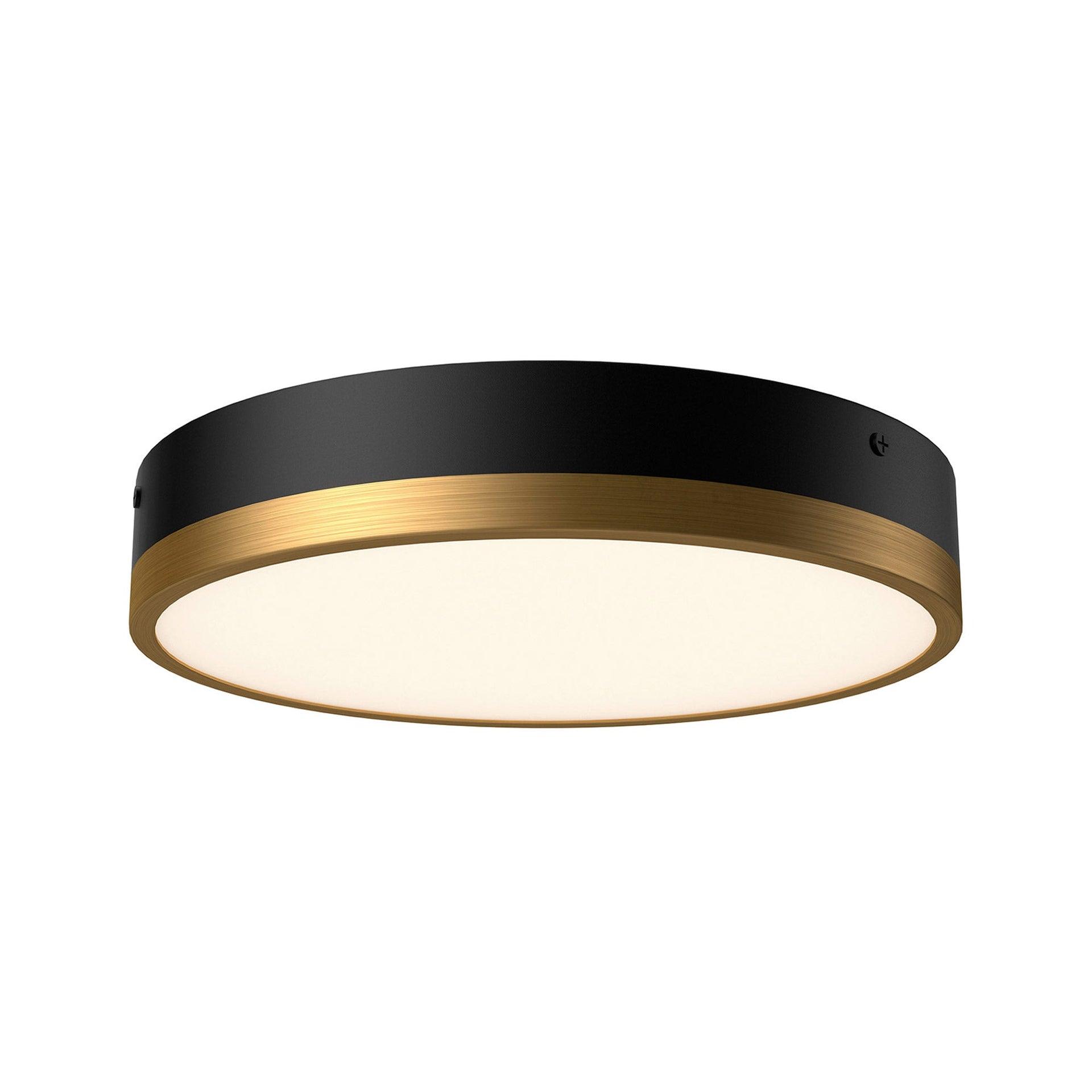 Matte Black Glass LED Flush Mount Ceiling Light