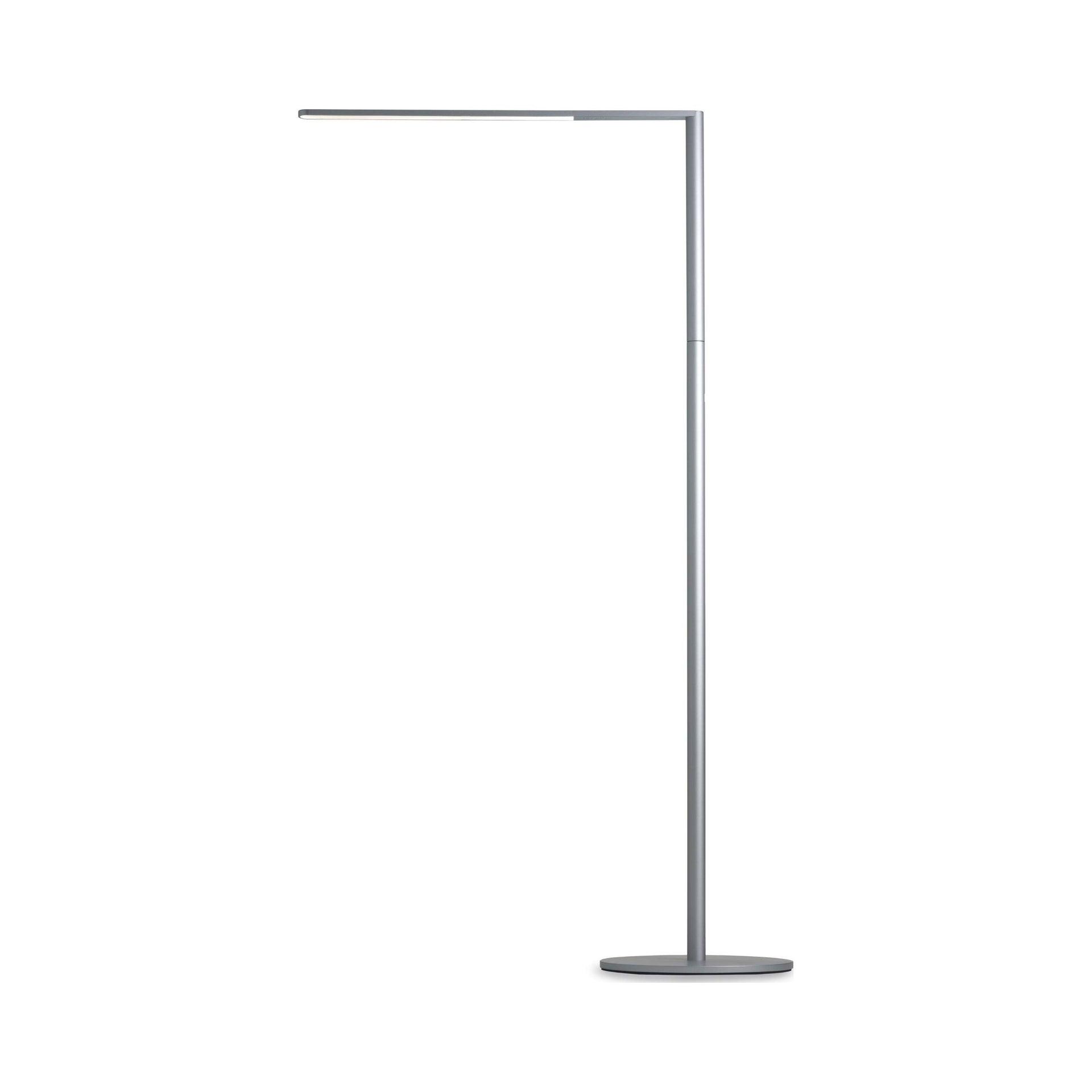 Lady7 52.05'' Dimmable LED Floor Lamp
