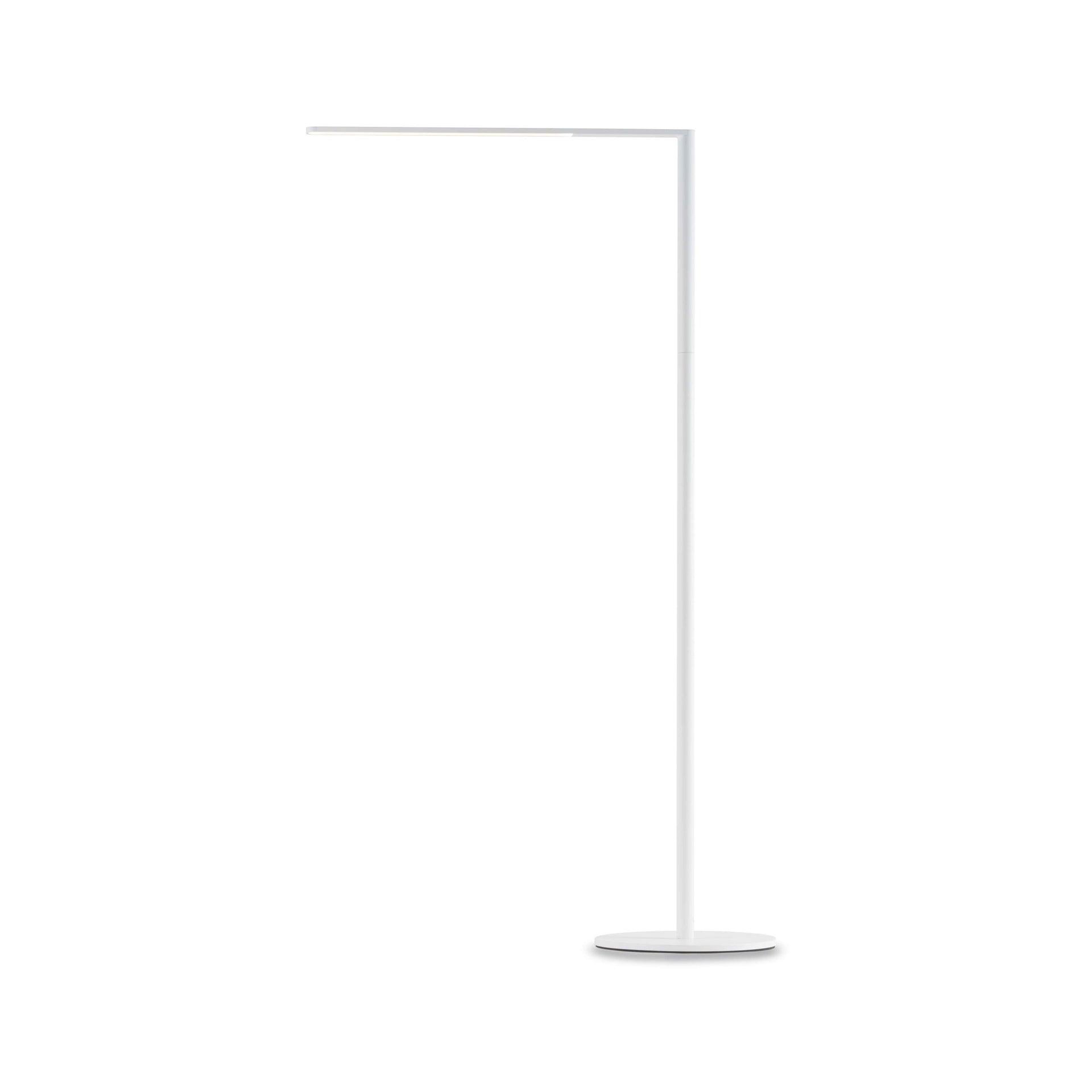 Lady7 52.05'' Dimmable LED Floor Lamp