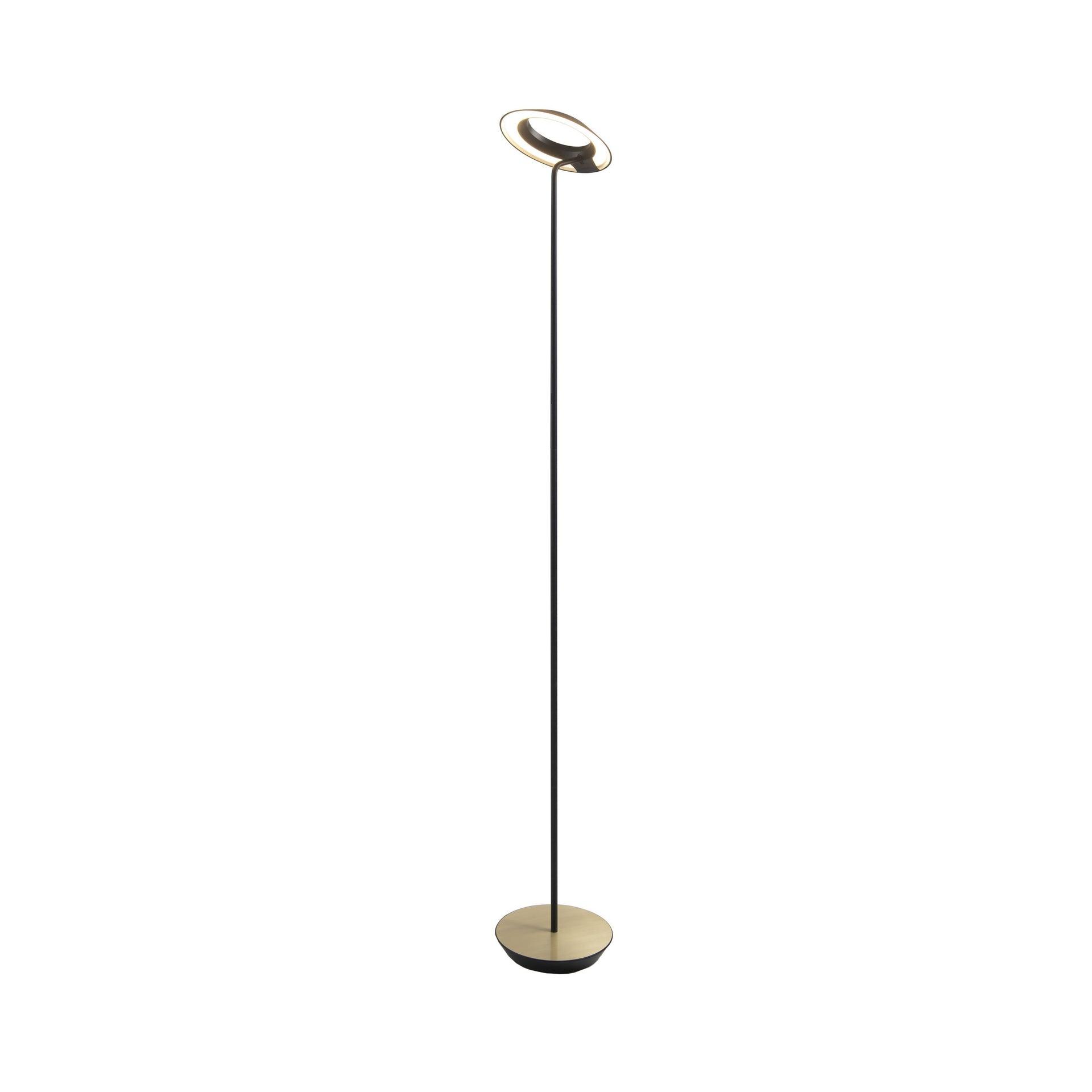 Royyo 45.5'' LED Floor Lamp