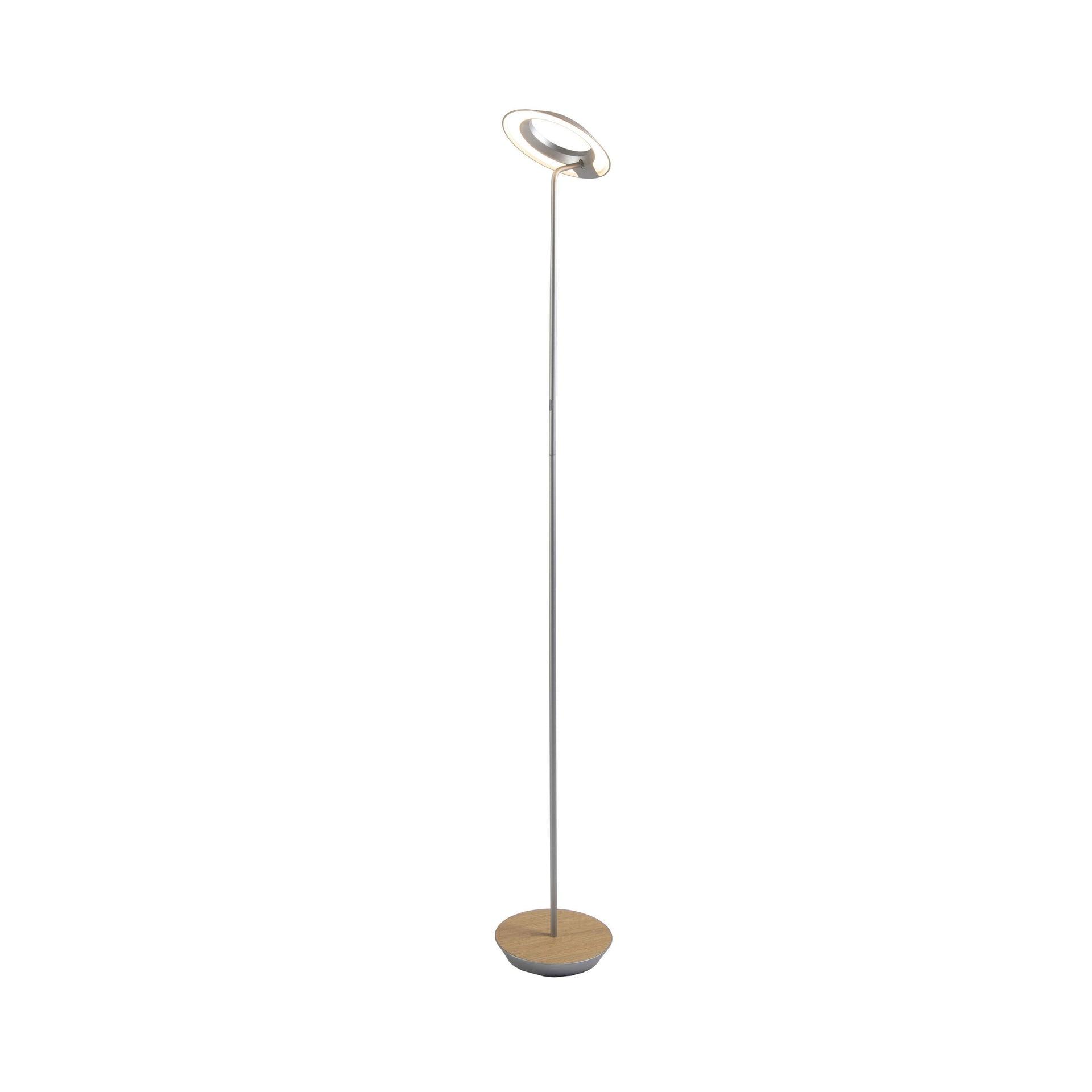 Royyo 45.5'' LED Floor Lamp