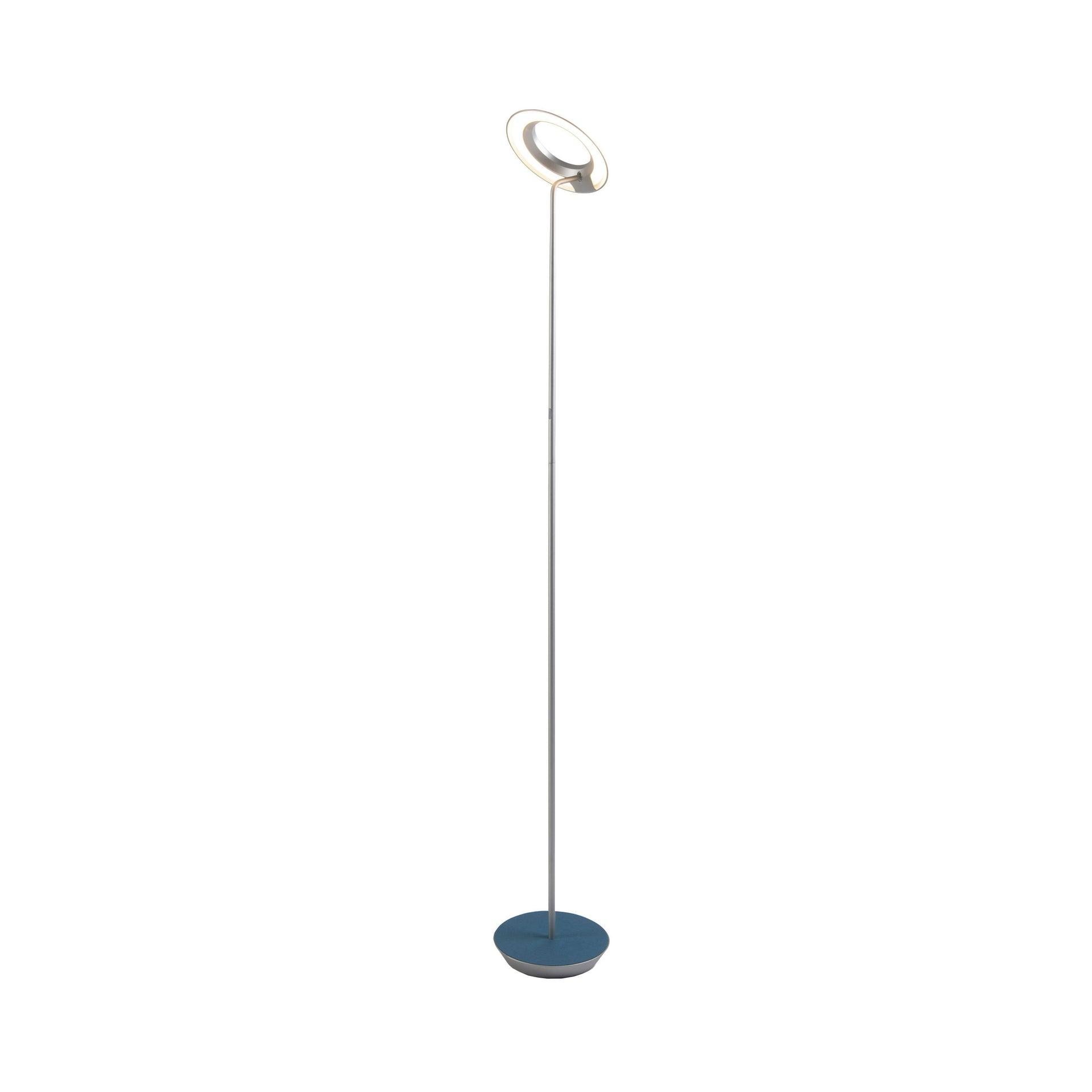 Royyo 45.5'' LED Floor Lamp