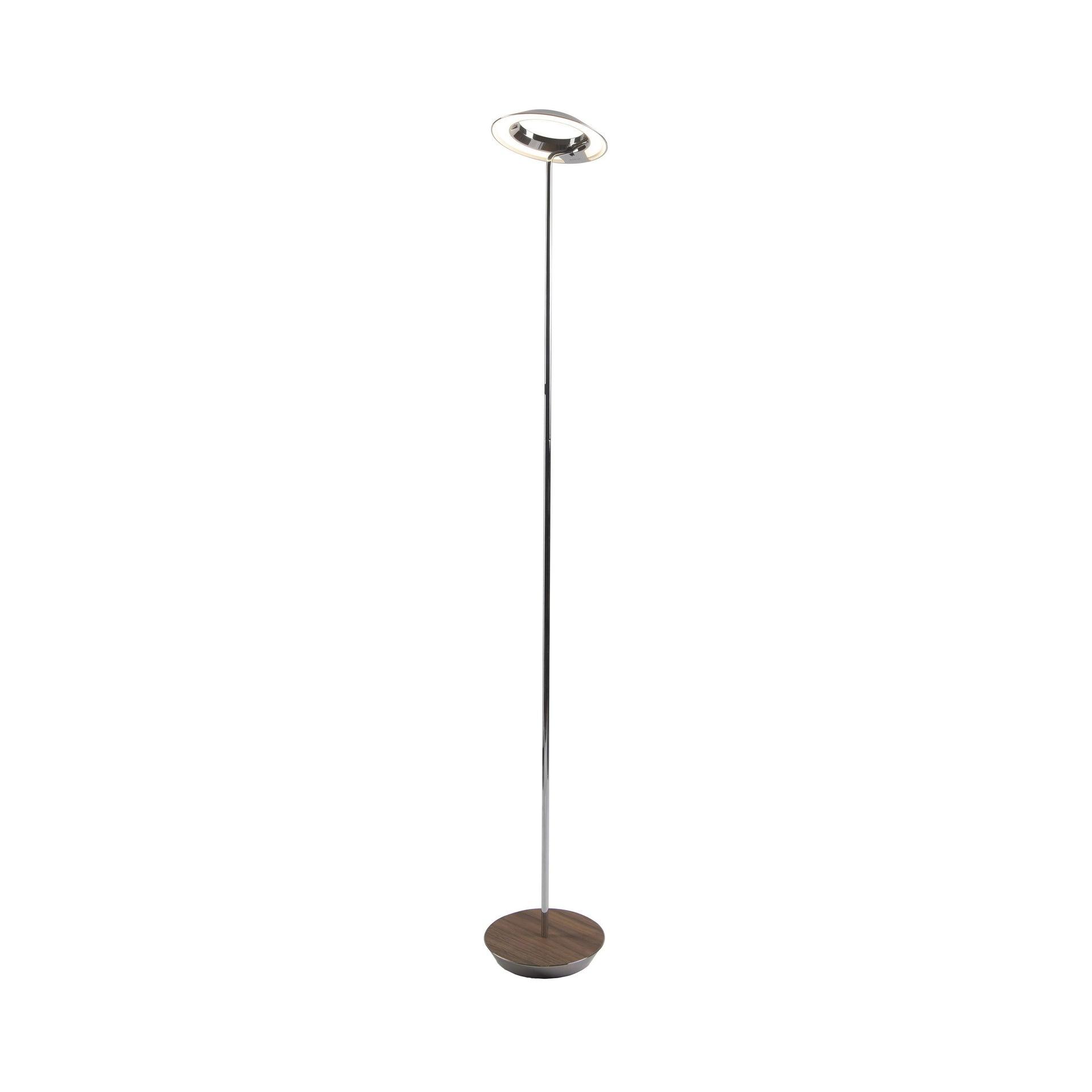 Royyo 45.5'' LED Floor Lamp
