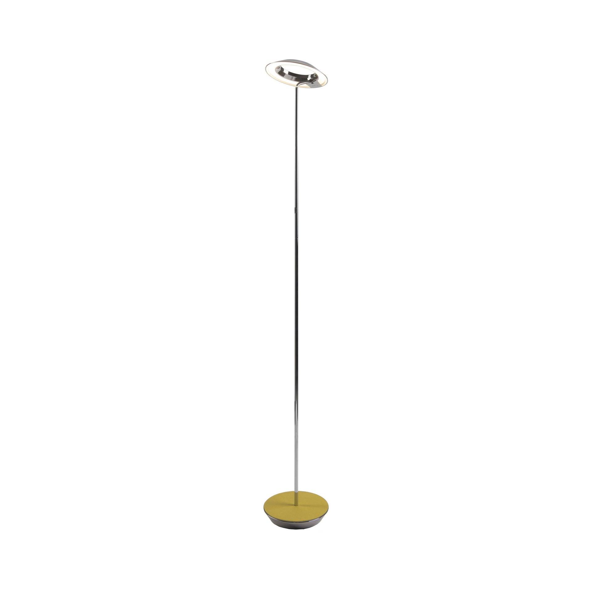 Royyo 45.5'' LED Floor Lamp