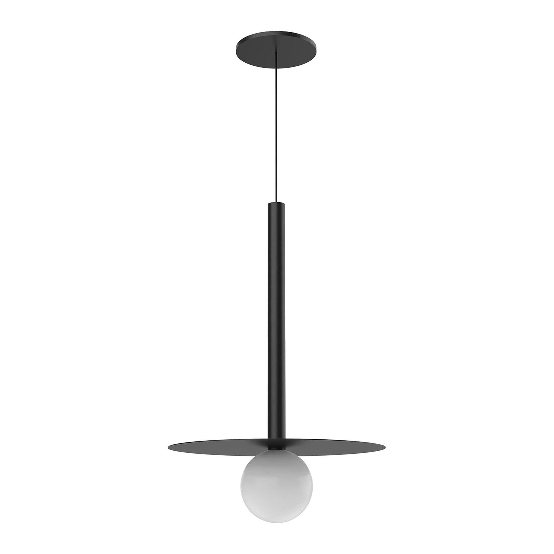 Black Glass LED Indoor/Outdoor Globe Pendant Light