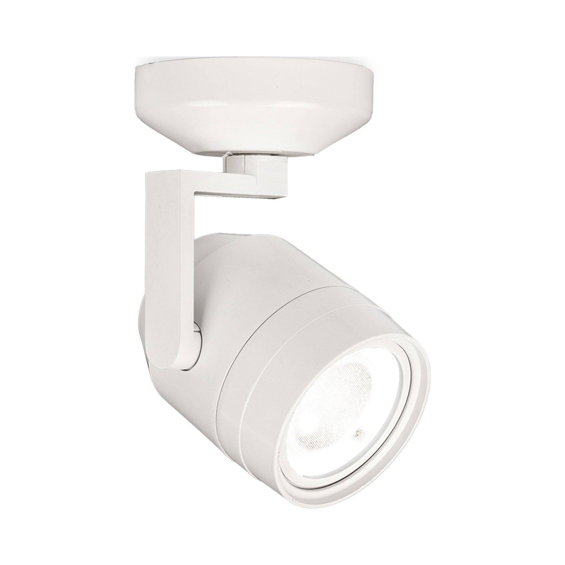 Paloma Glass LED Spotlight