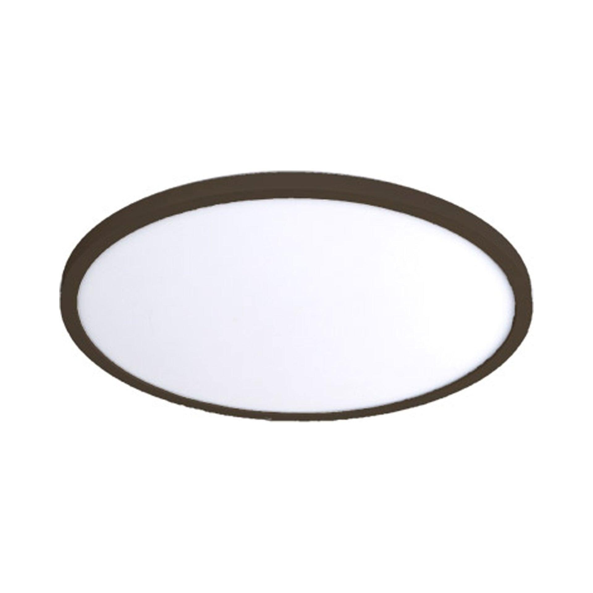Simple Circle Dimmable LED Flush Mount Light