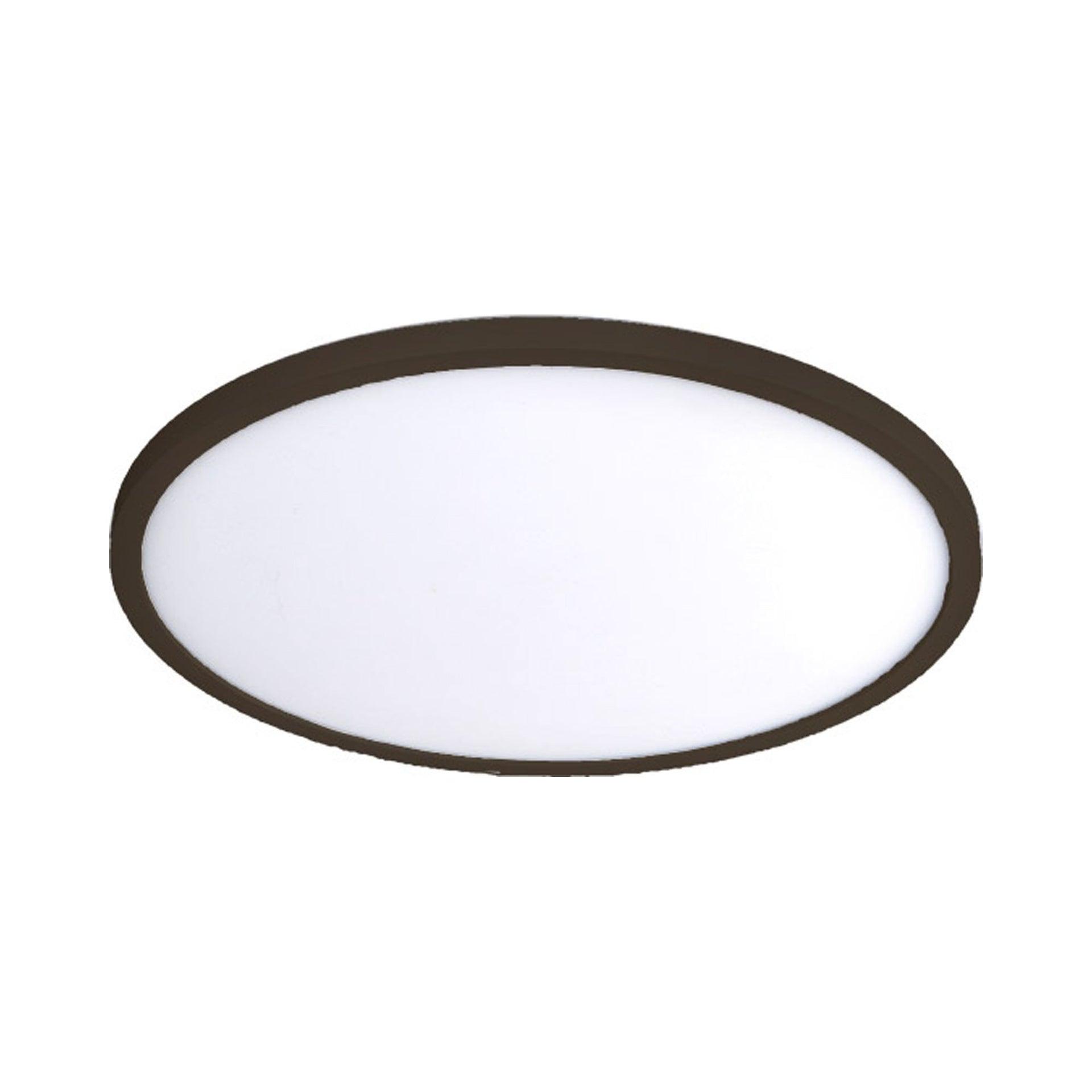 Simple Circle Dimmable LED Flush Mount Light