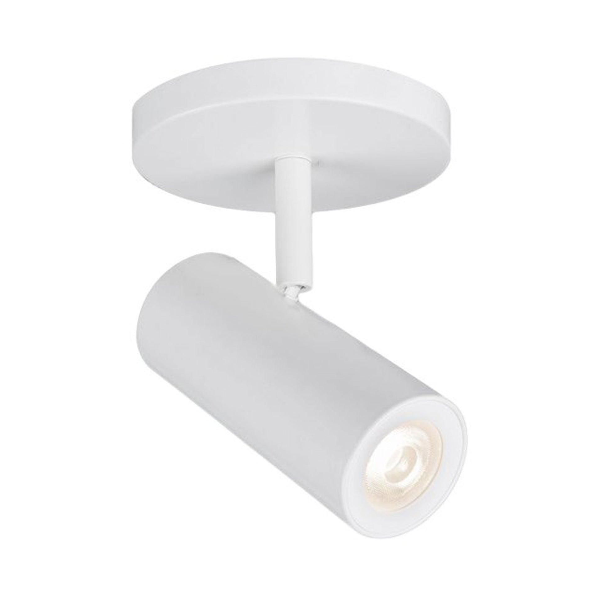 Silo LED Spotlight
