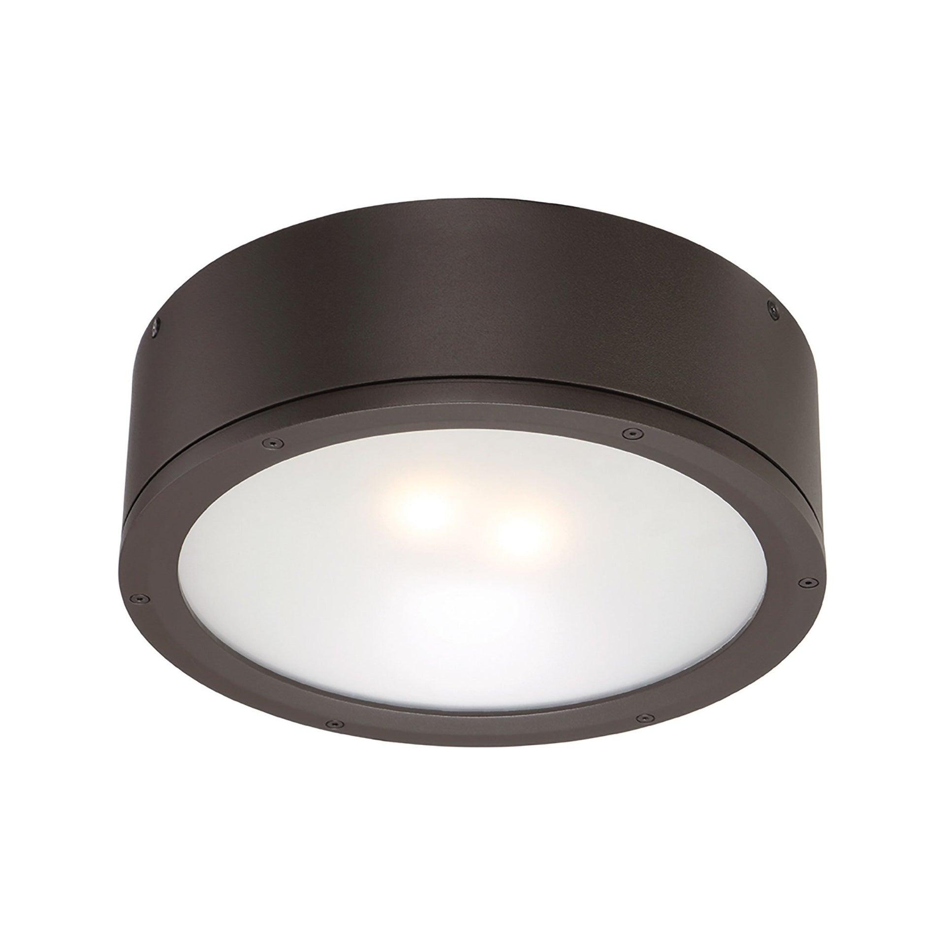 Tube Glass Flush Mount