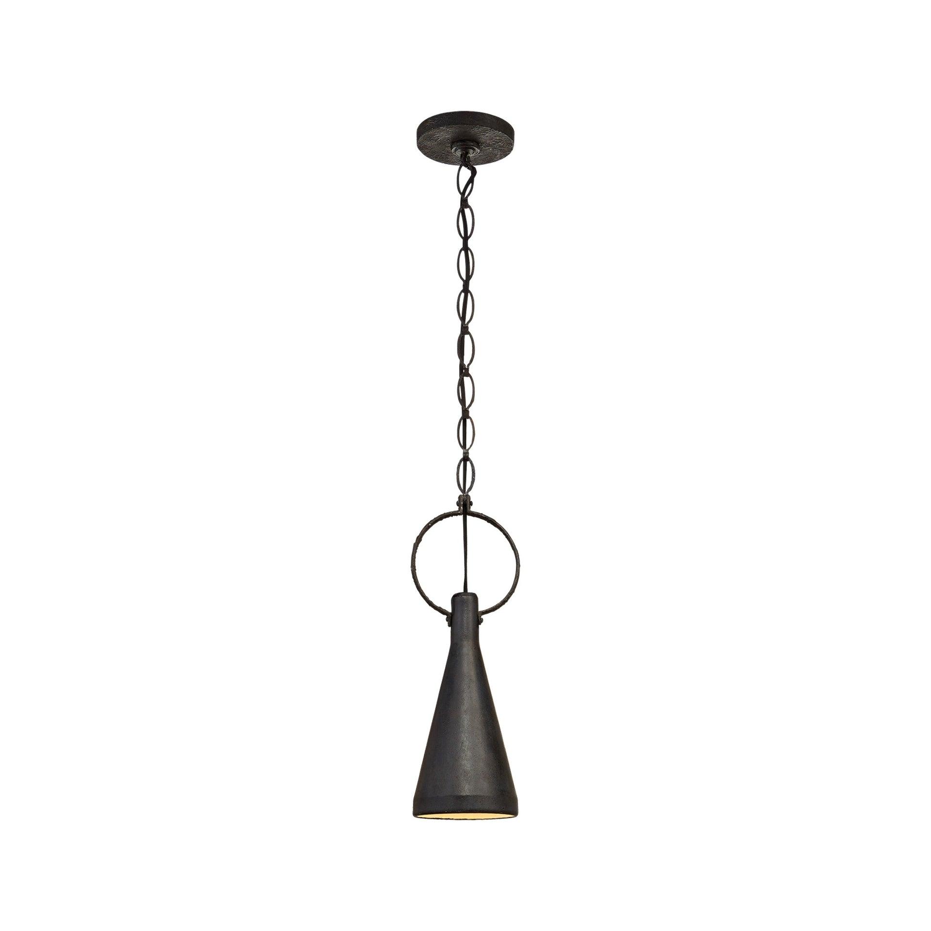Limoges Aged Iron Crystal 19" Indoor/Outdoor Pendant Light