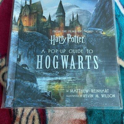 Harry Potter: A Pop-Up Guide to Hogwarts - by Ariane Cap (Hardcover)