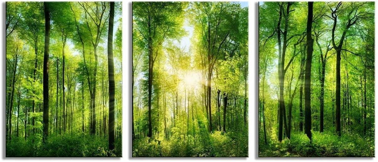 Green Forest Sunrise Landscape Canvas Print Set