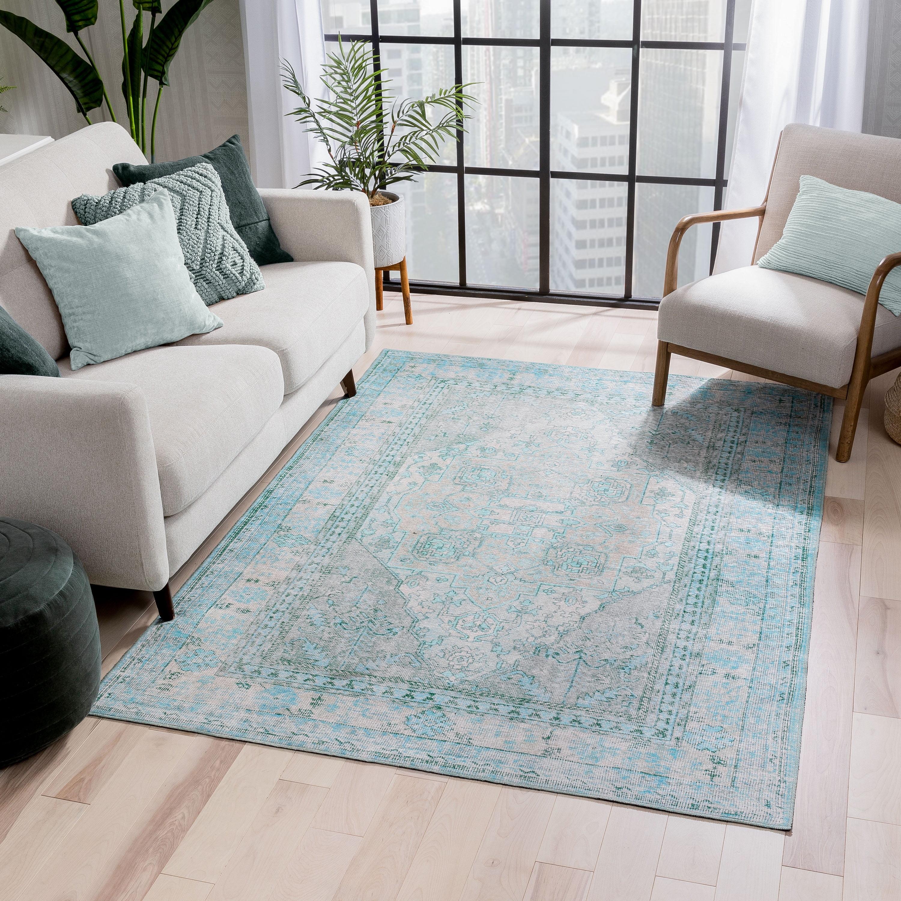 Nile Flatweave Oriental Rug