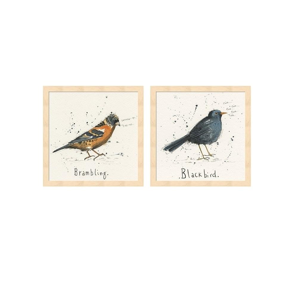 " Brambling & Black Bird " by Michelle Campbell 2 - Pieces