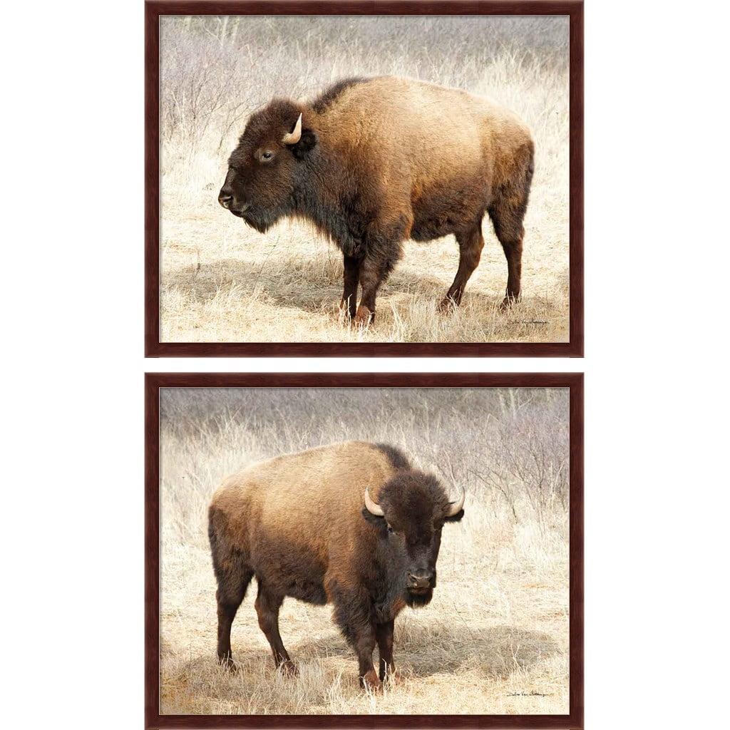 American Bison Mahogany Framed Art Set, 21.25" x 17.25"