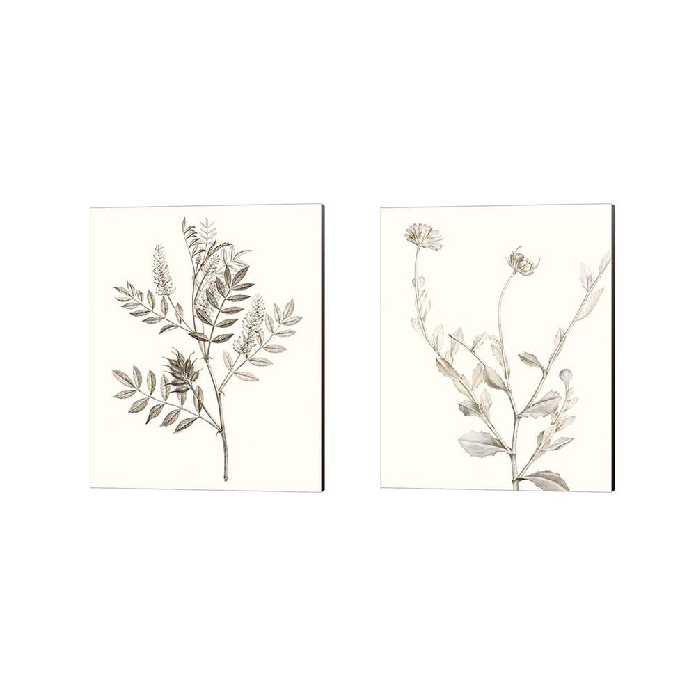 Neutral Botanical Study Brown Canvas Art Set, 12" x 15"