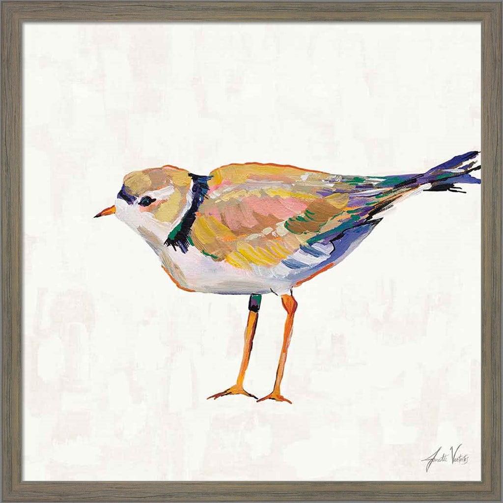 Coastal Plover Bird Print in Distressed Grey Frame