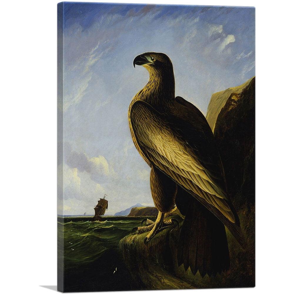 ARTCANVAS " Washington Sea Eagle " by James Audubon Painting Print
