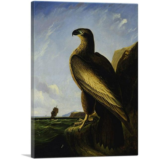 ARTCANVAS " Washington Sea Eagle " by James Audubon Painting Print