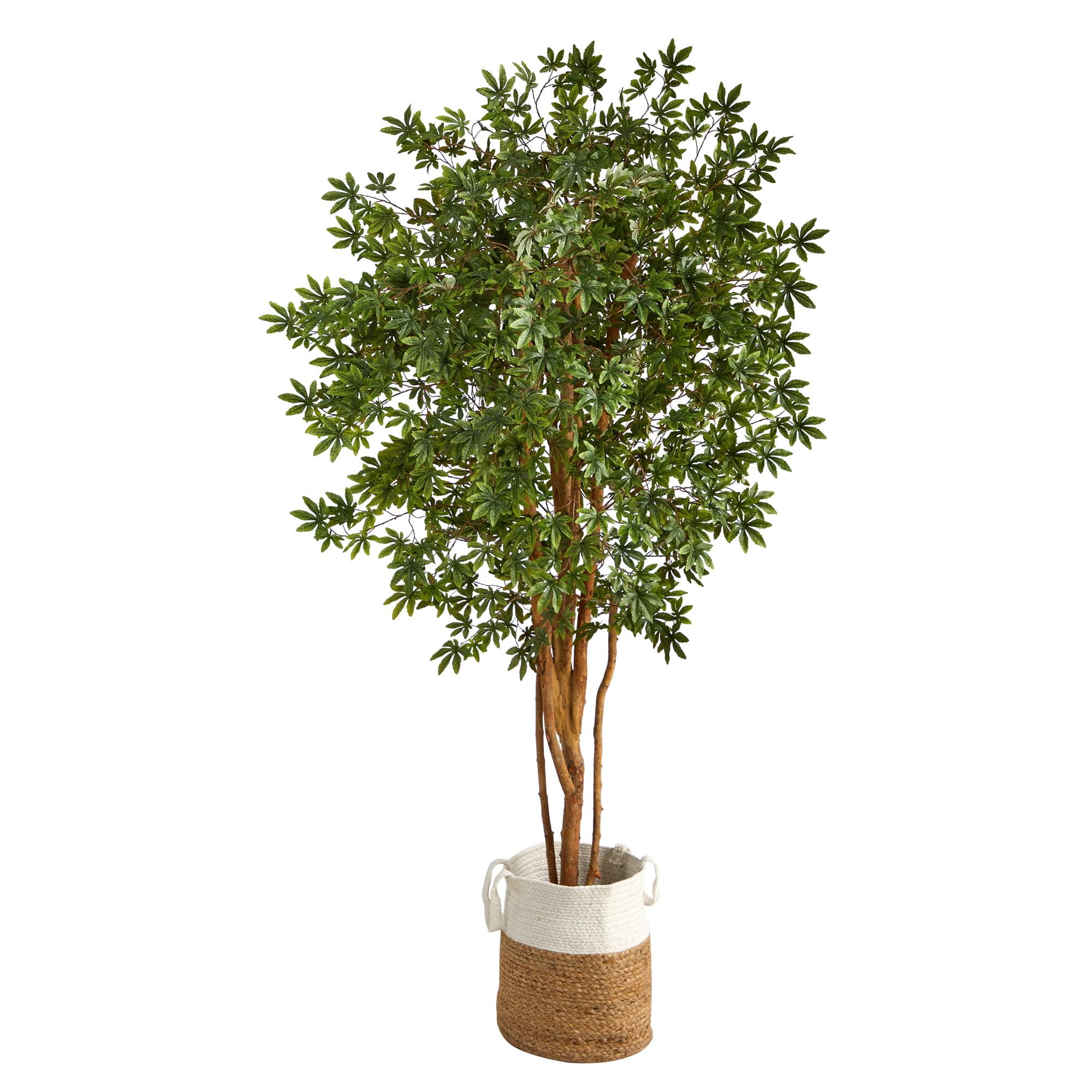 6' Japanese Maple Artificial Tree in Multicolor Cotton Woven Planter