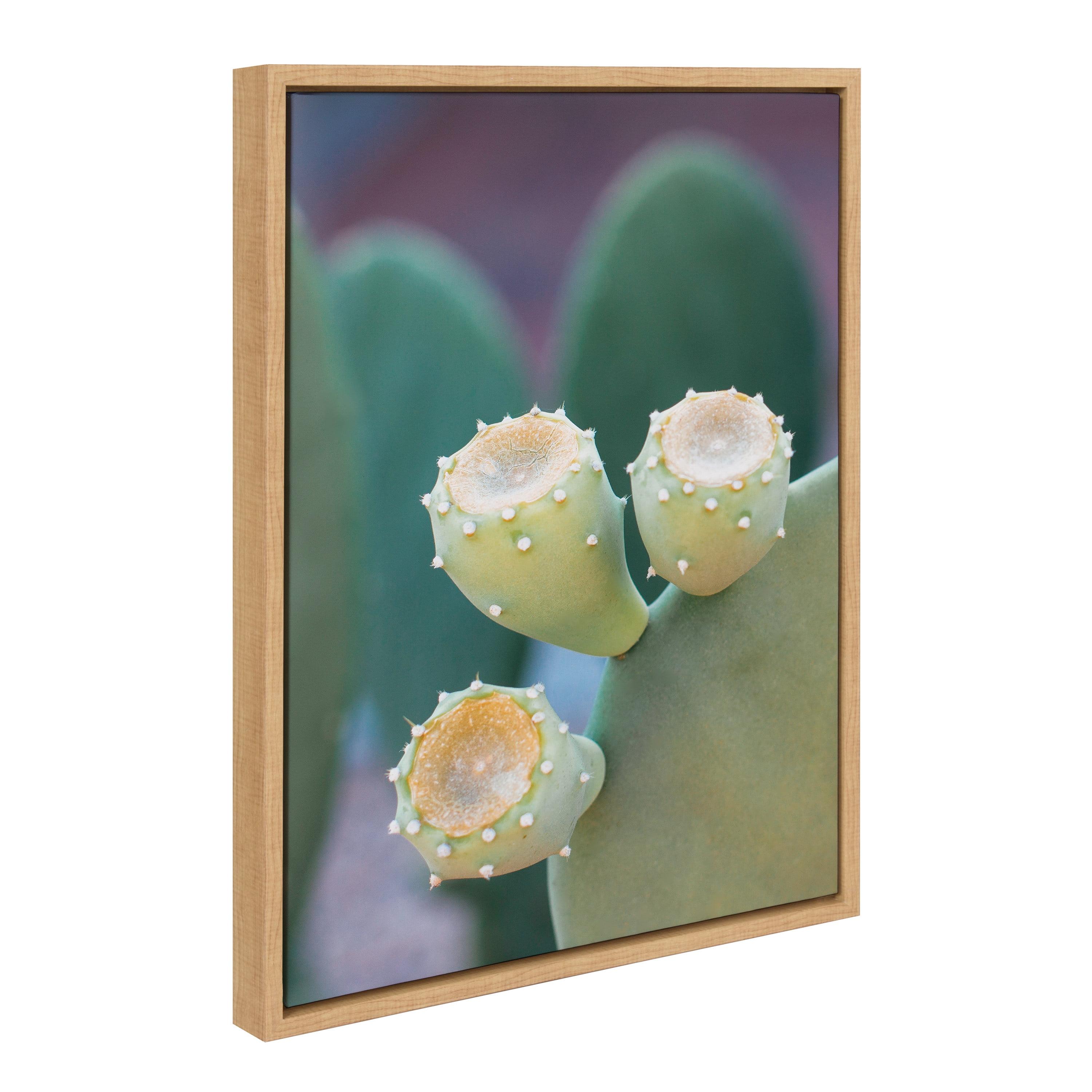 Natural Framed Arizona Prickly Pear Cactus Canvas Print, 18x24