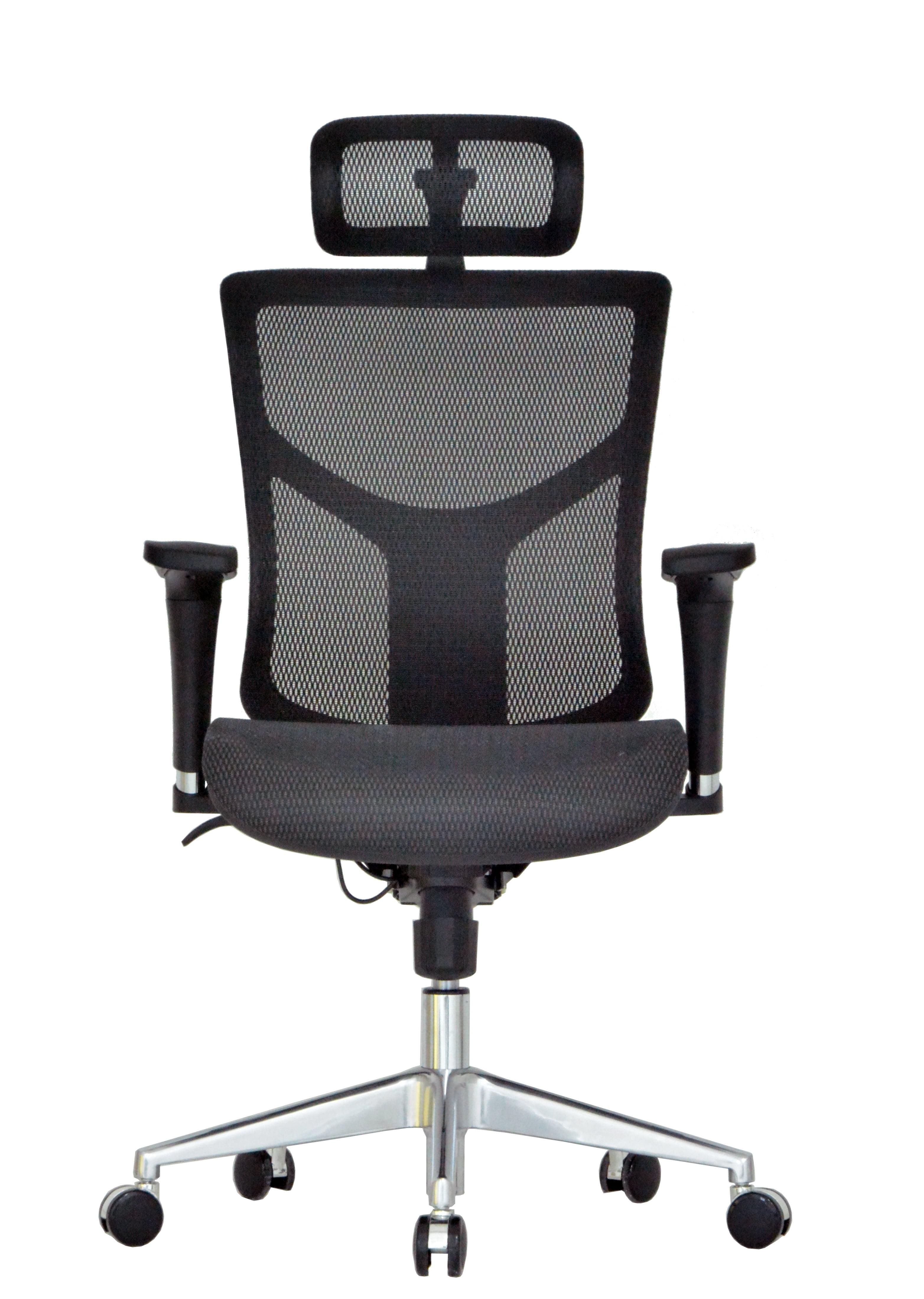 Executive High-Back Swivel Chair with Adjustable Arms in Black Mesh