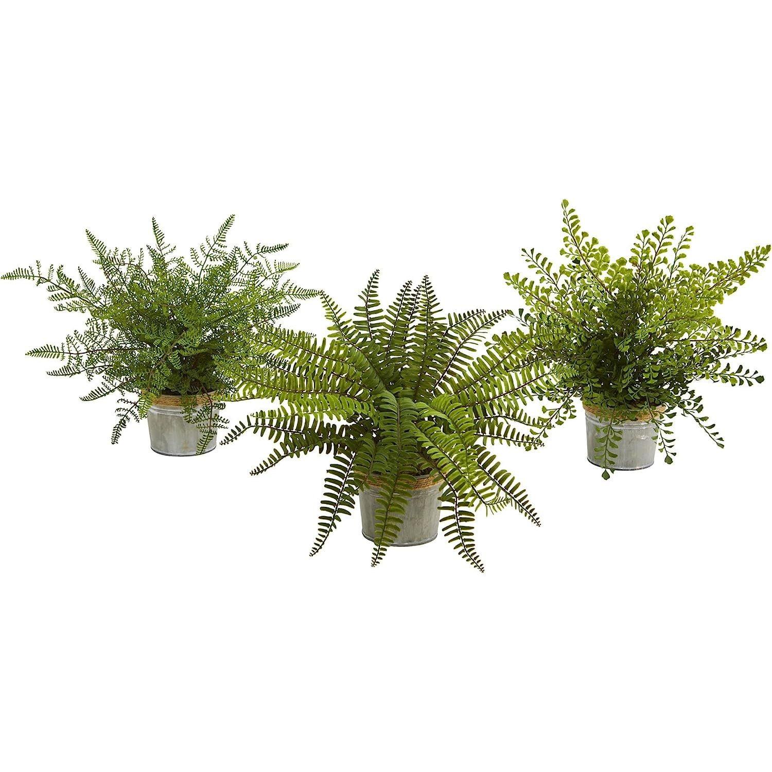 Lush Green 16'' Artificial Fern Arrangement in Plastic Planter, Set of 3