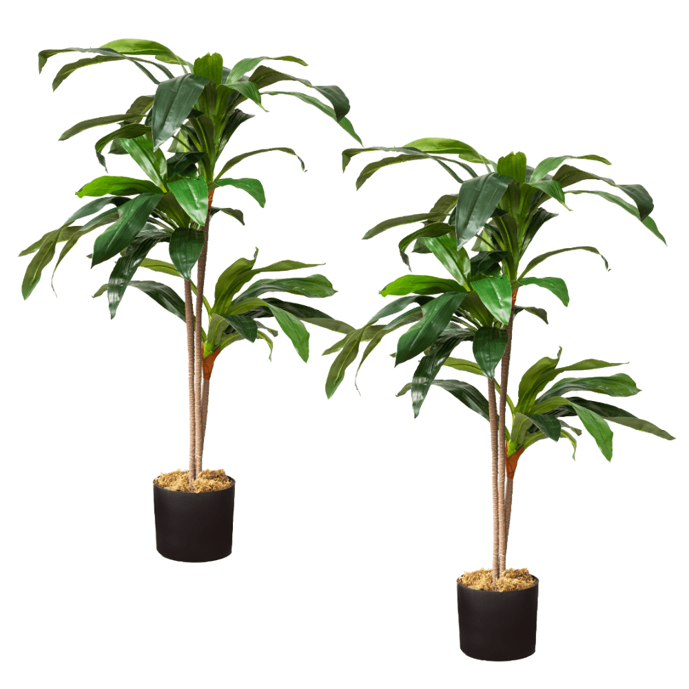 Evergreen Elegance 48" Silk Dracaena Floor Plant in Black Pot - 2 Pack