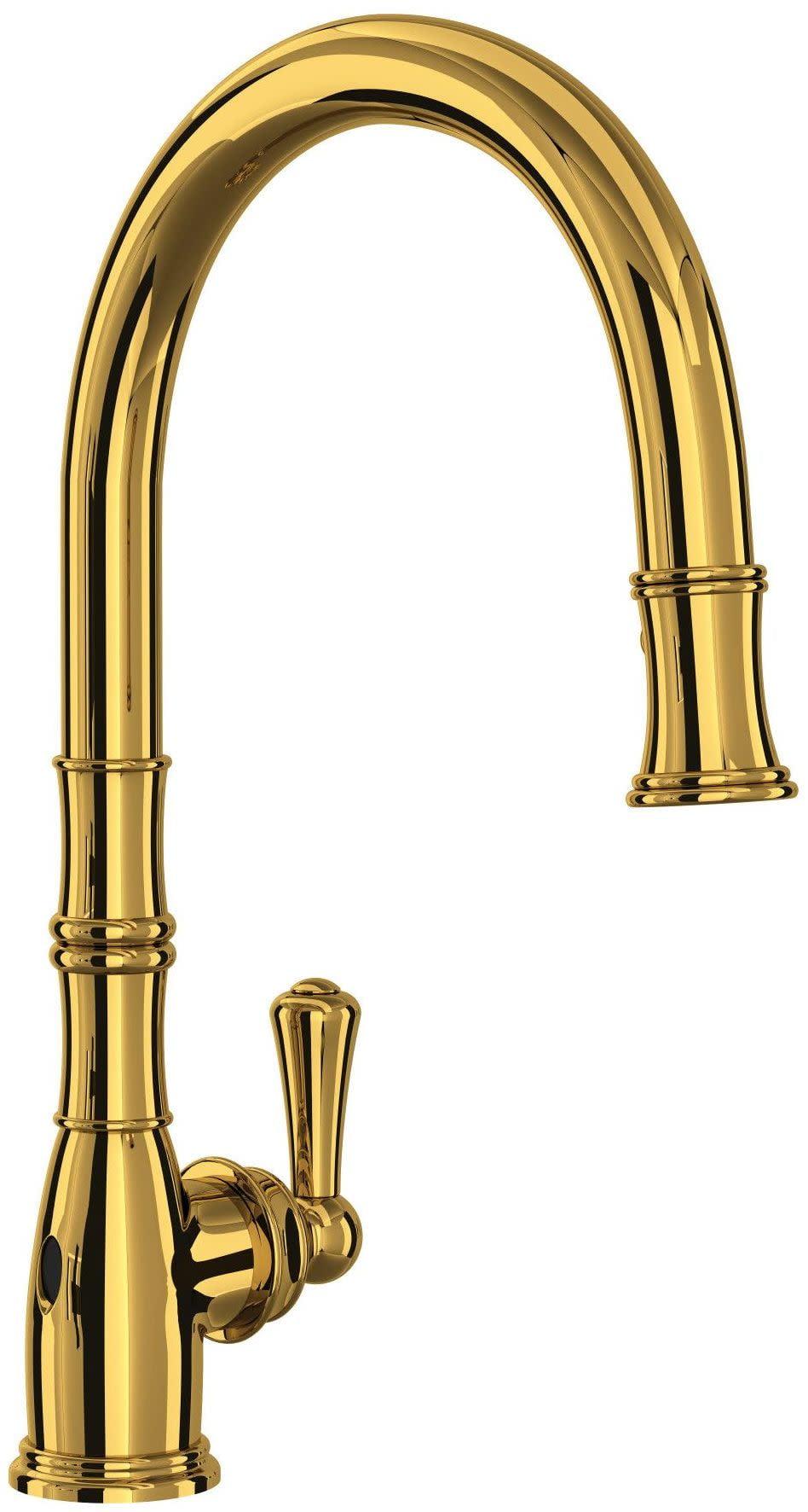 Georgian Era™ Pull-Down Single Handed Kitchen Faucet With Accessories