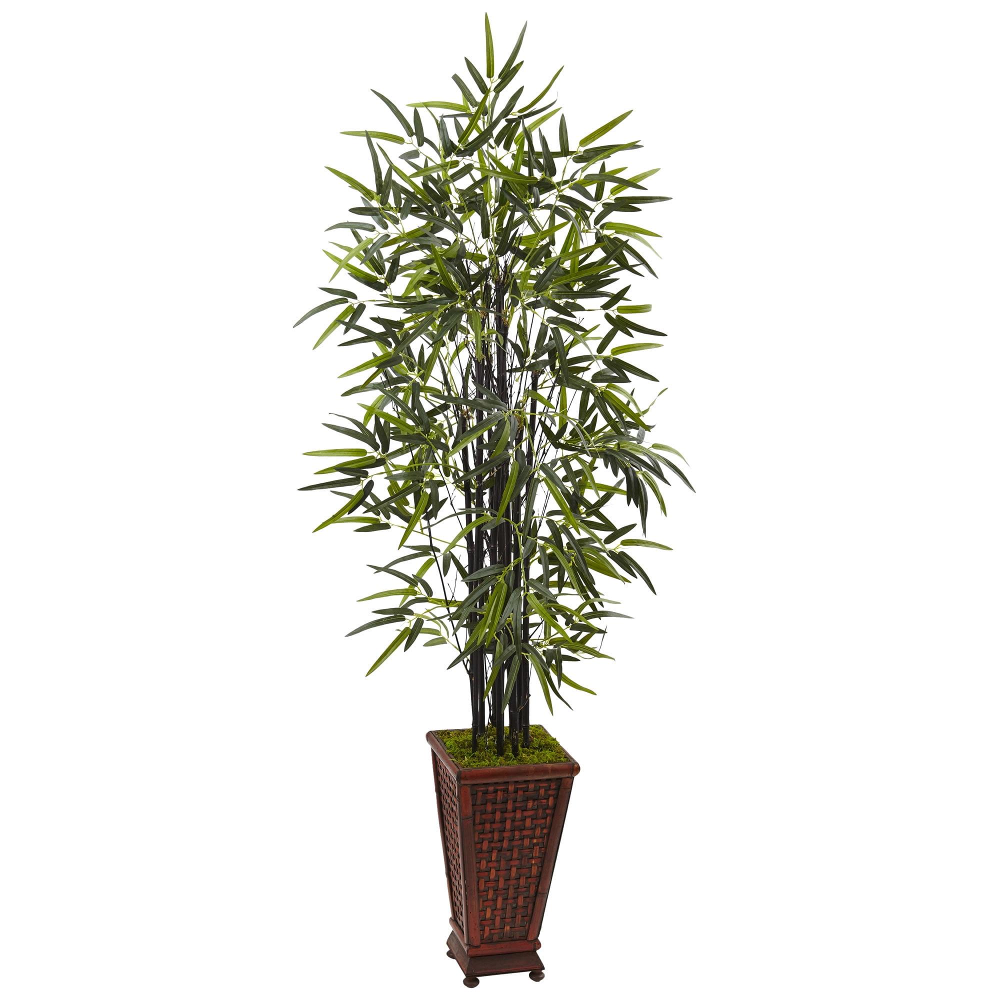 5.5 ft Green and Black Faux Bamboo Tree in Decorative Planter