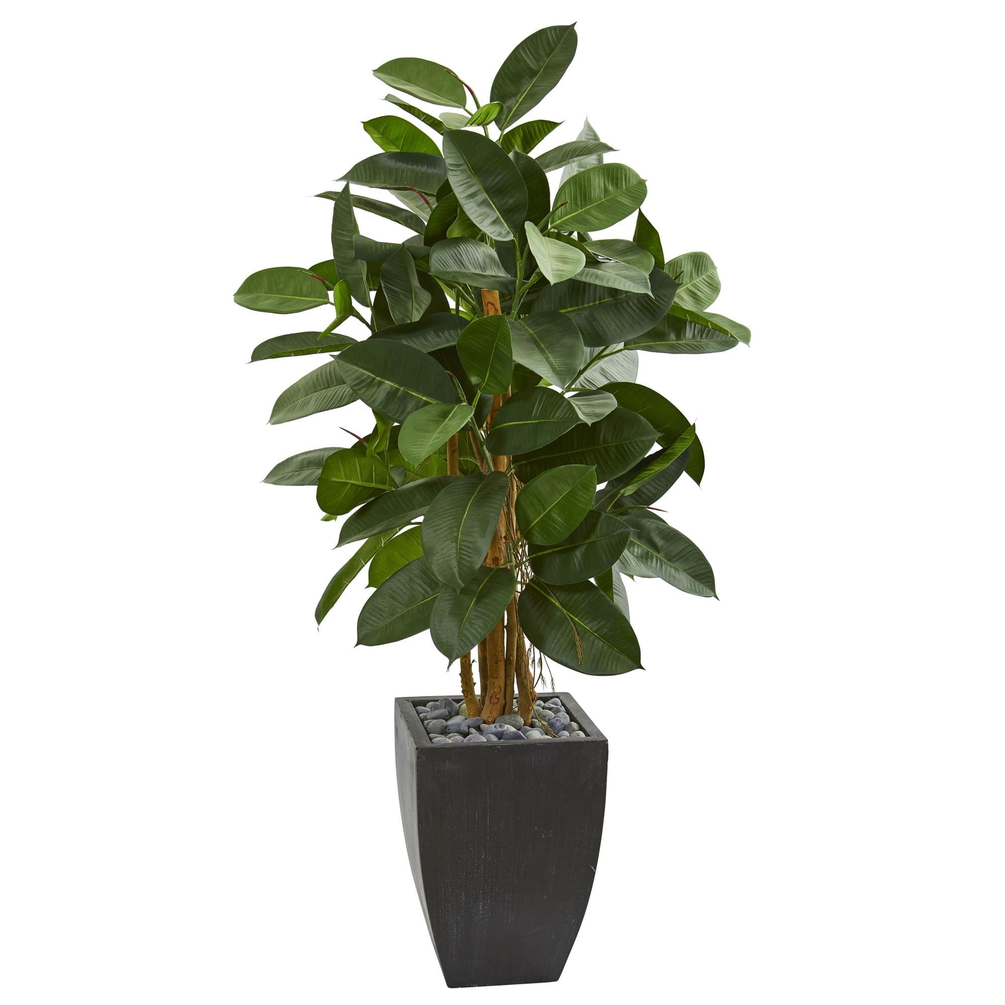 Lush Green 62" Silk Artificial Rubber Tree in Black Planter