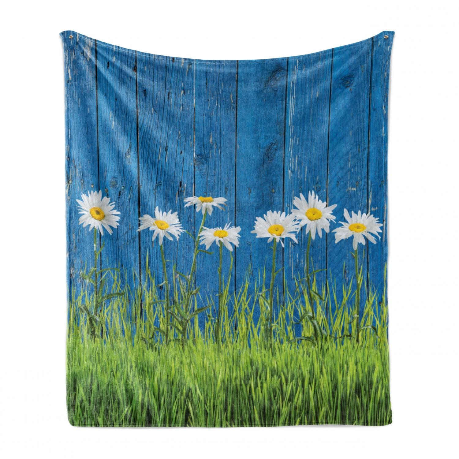 Ambesonne Flower Fleece Throw Blanket Spring Grass and Daisy Blue Green White