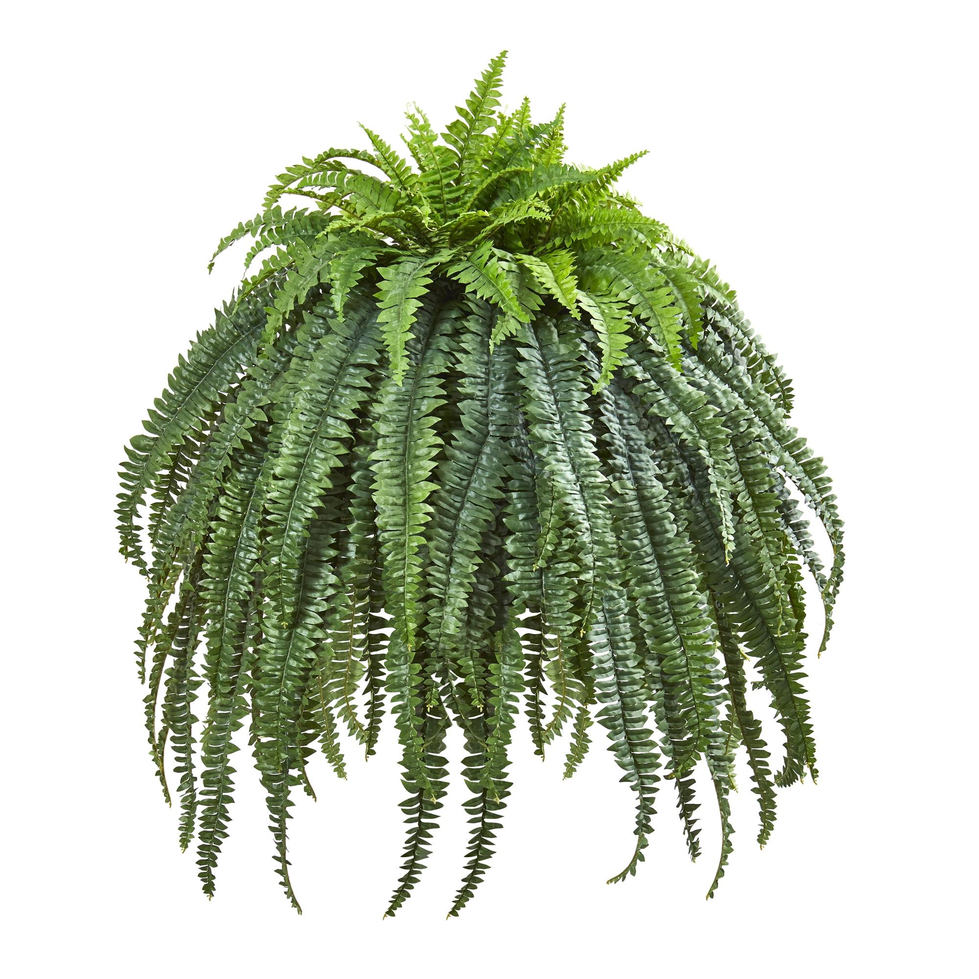 Verdant Luxe 40" Silk Fern in Decorative Cement Planter