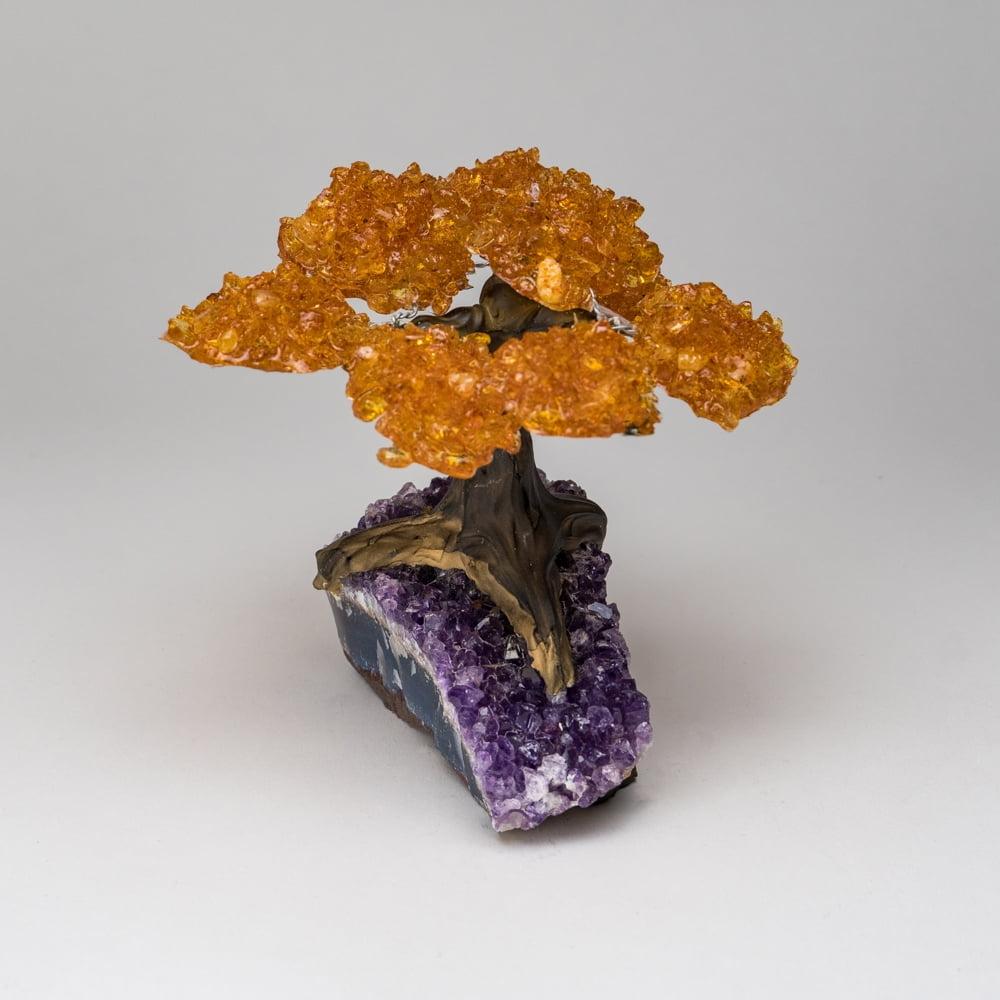 Medium Citrine Gemstone Tree on Amethyst Matrix