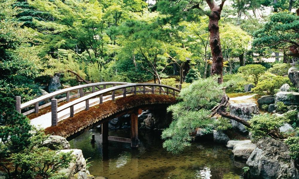 Biggies 120" Bonsai Photograph Window Well Scenes