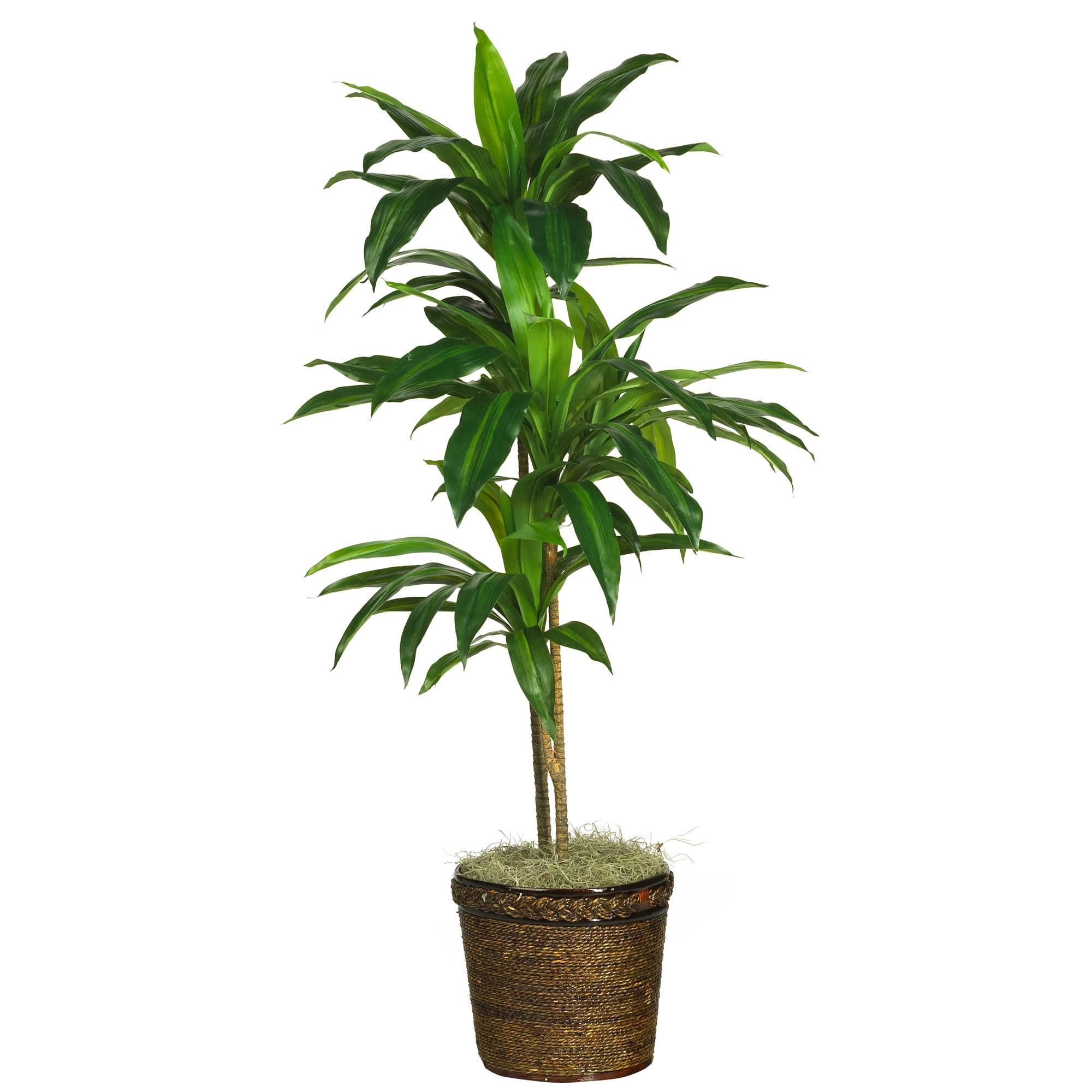Elegant 4ft Green Silk Dracaena Plant in Wooden Pot
