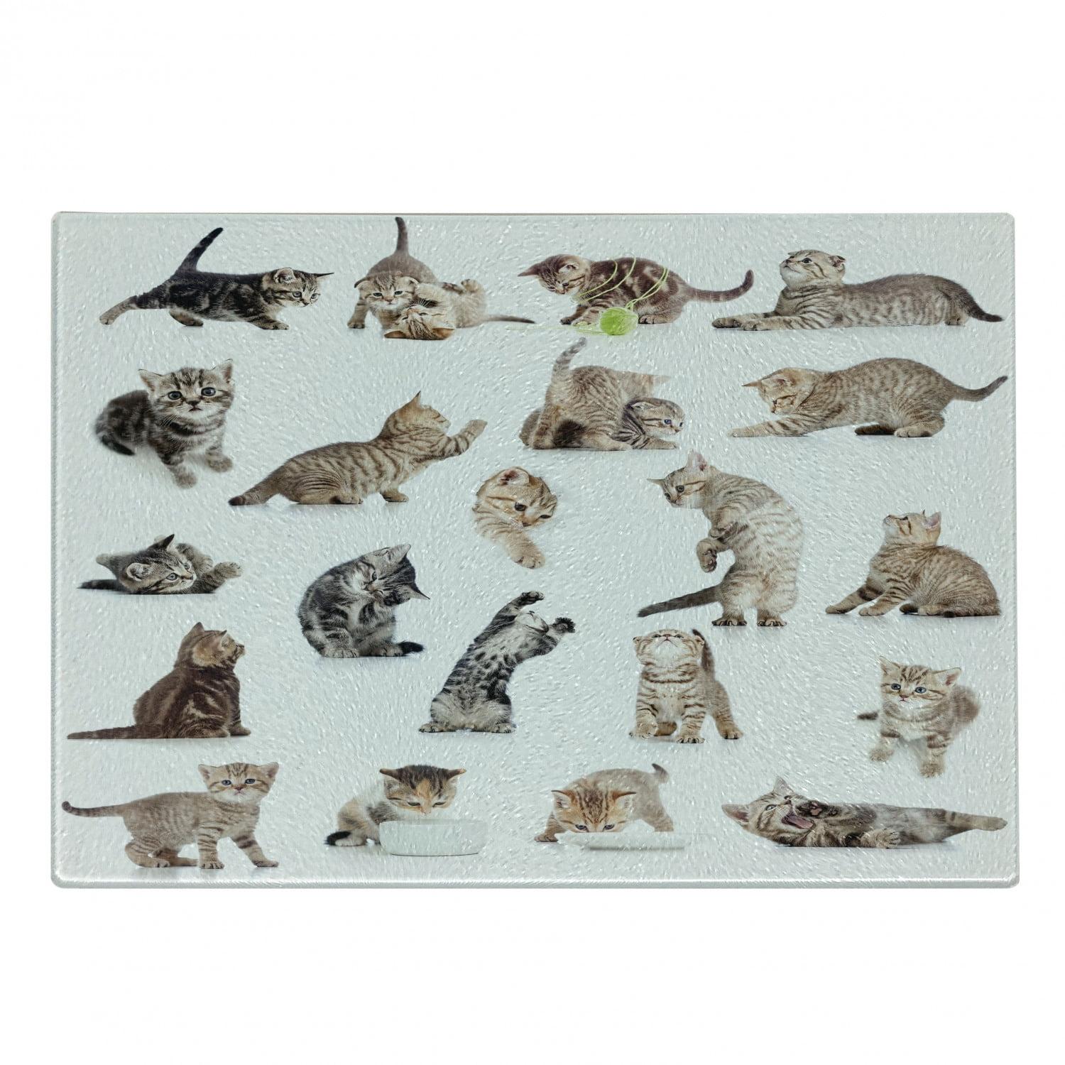 Ambesonne Cat Tempered Glass Cutting Board Funny Playful Cats Image Brown Black White