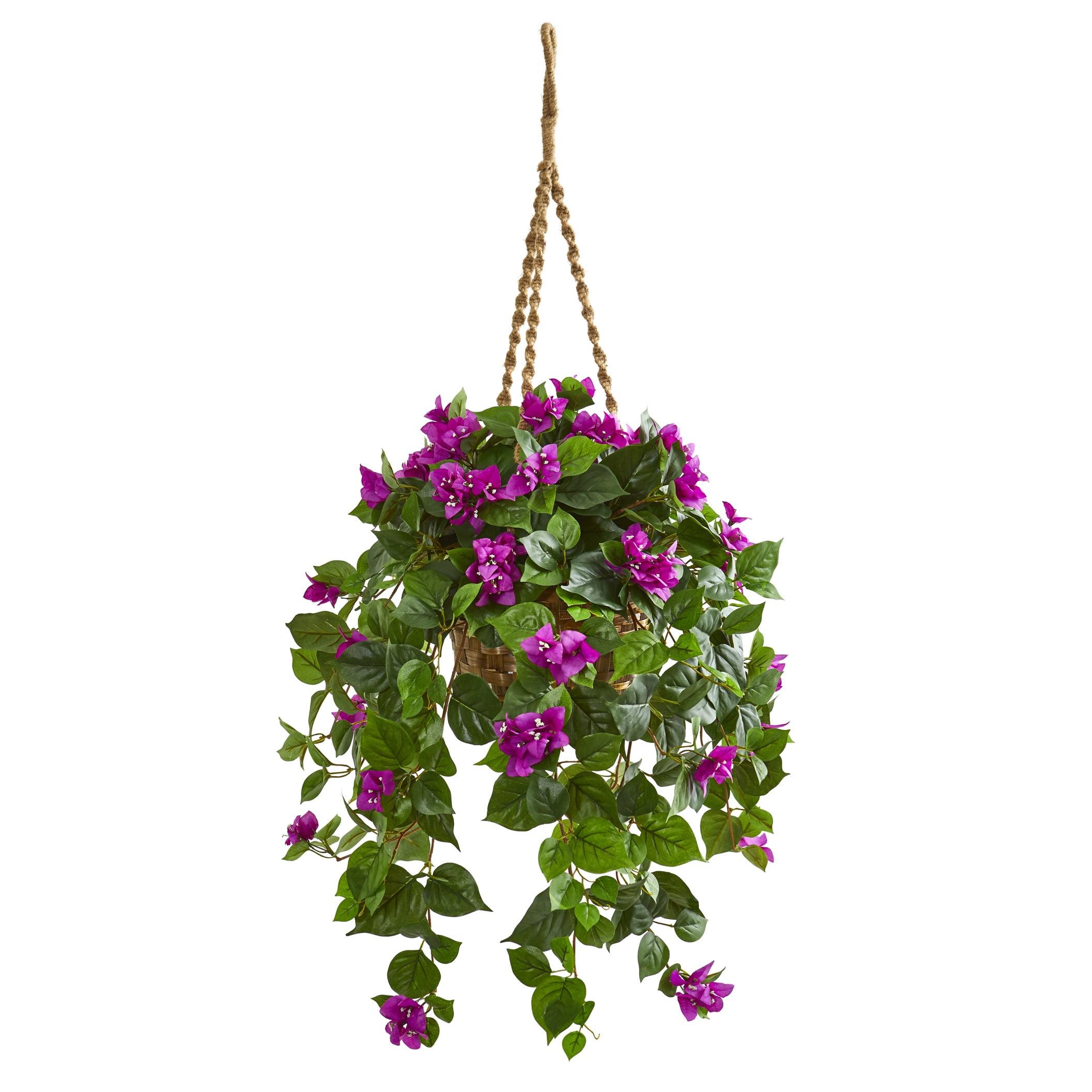 Elegant Outdoor Bougainvillea in Wooden Hanging Basket