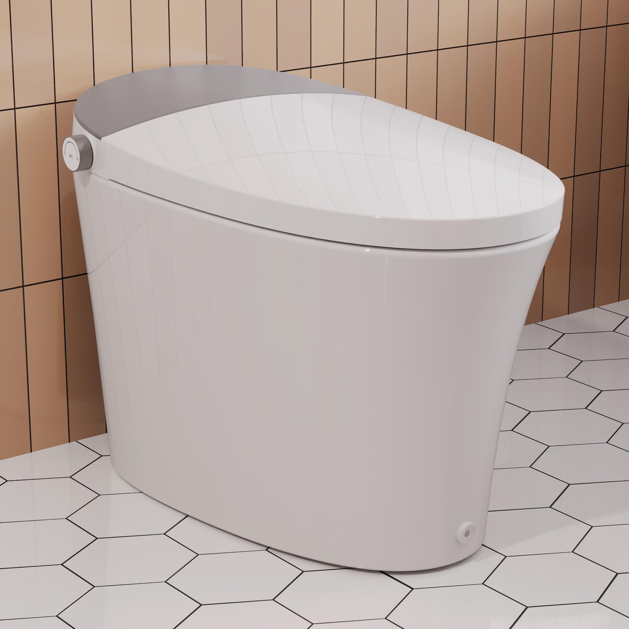 Elongated White High Efficiency Smart Bidet Toilet with Heated Seat