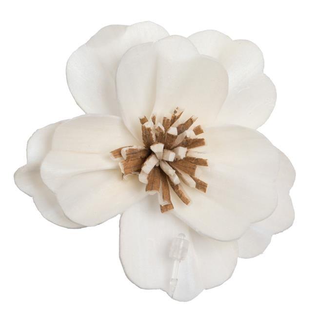 Vickerman Natural Botanicals 1.6"/2.4"/3.2" Assorted Natural Dried Anemone Sola Flower Head 24/bag.