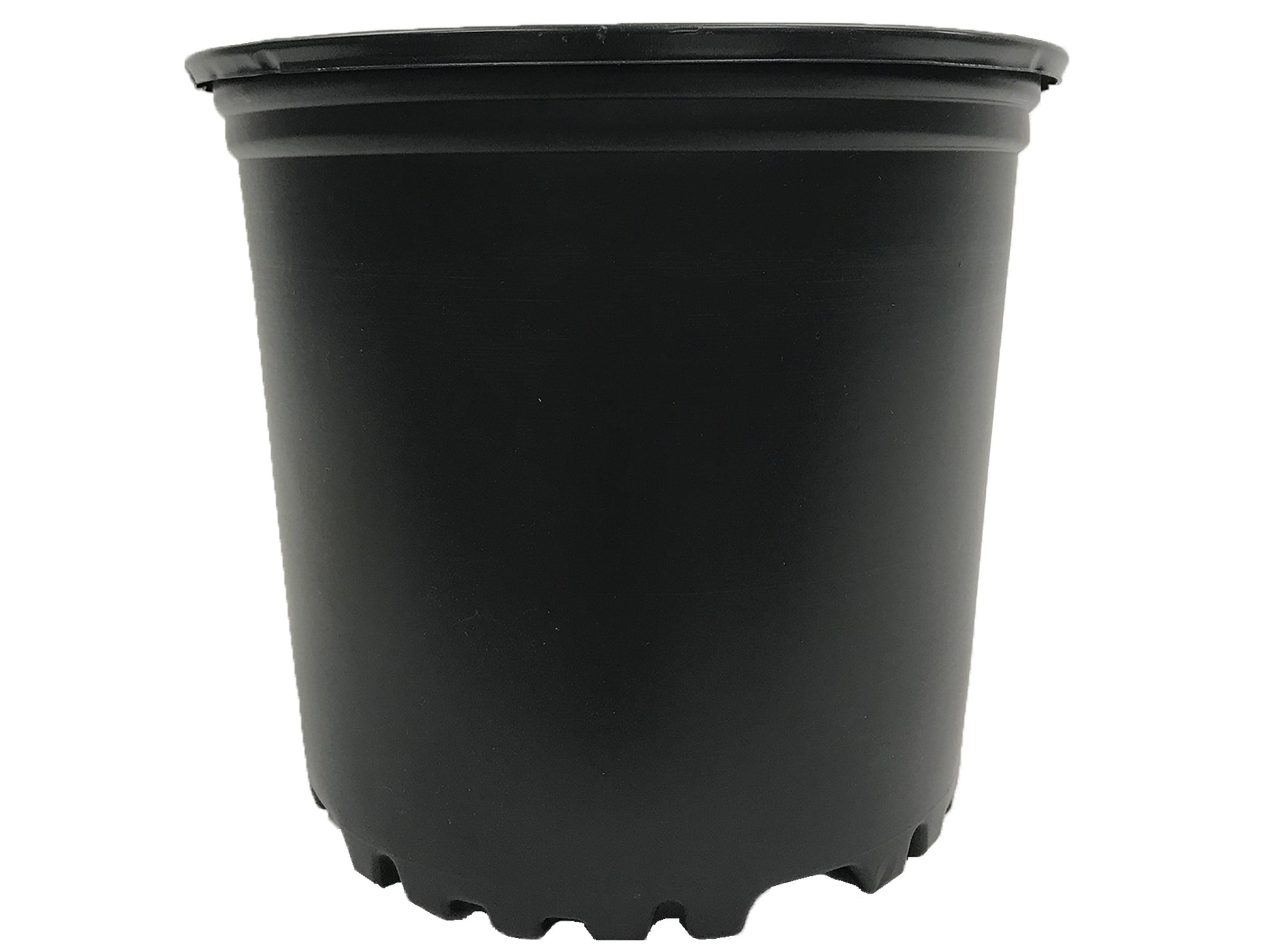 Black 1-Gallon Plastic Nursery Pots with Drainage Holes, Set of 10