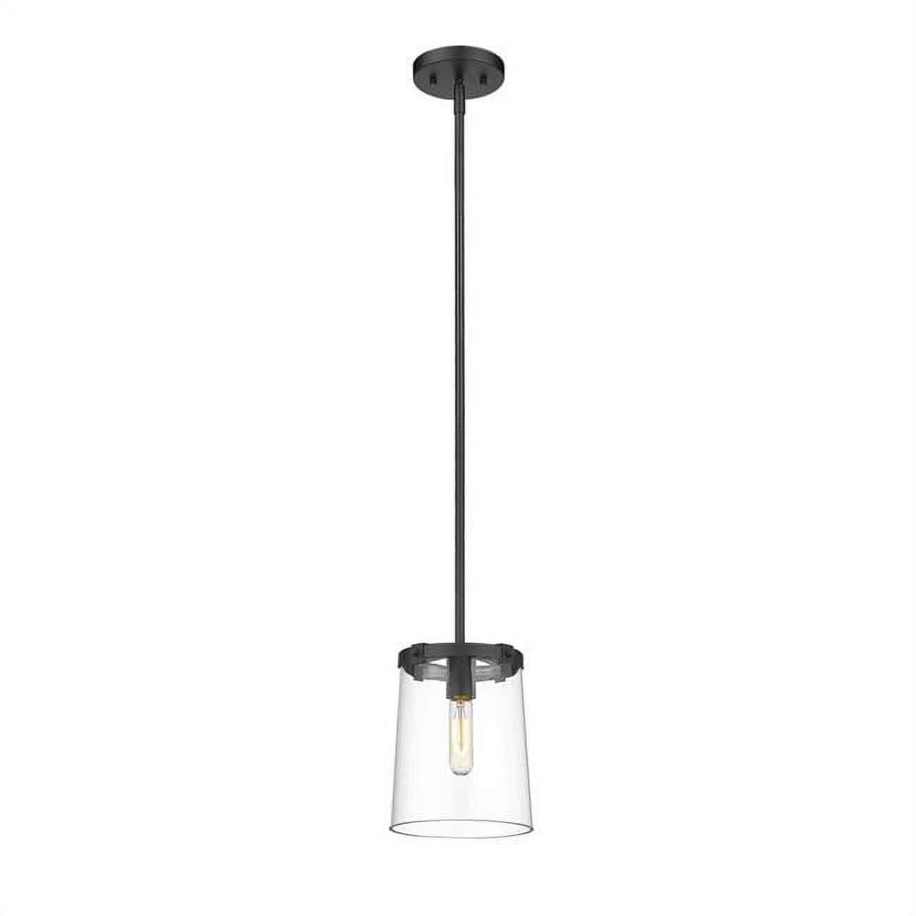 Z-Lite Callista 1 - Light Pendant in  Matte Black