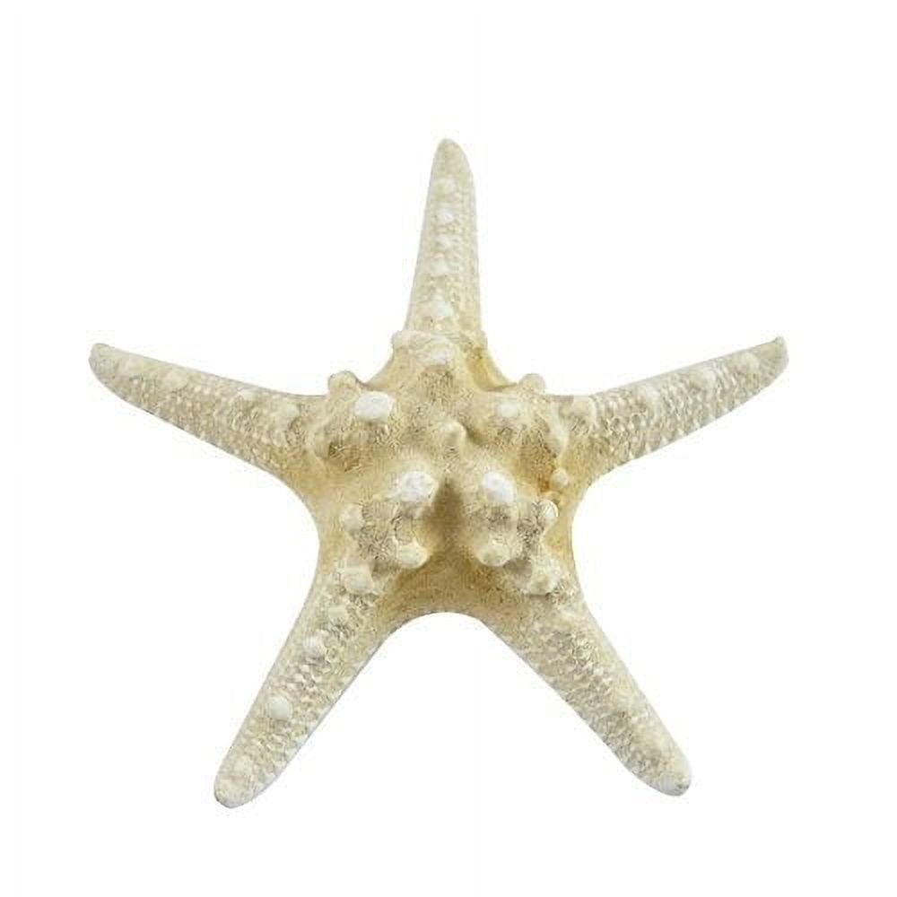 Set of 10 Beige Knobby Starfish Coastal Decor