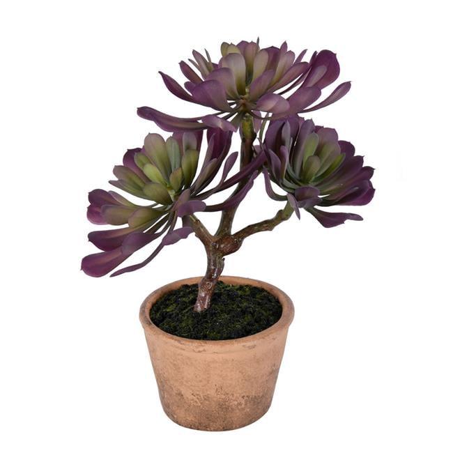 Festive Purple & Green Potted Succulent Centerpiece 12" Plastic