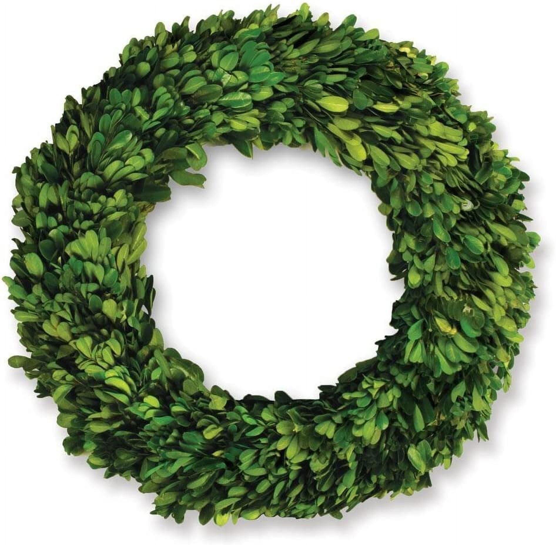 Alby Preserved Boxwood Real Greenery Wreath