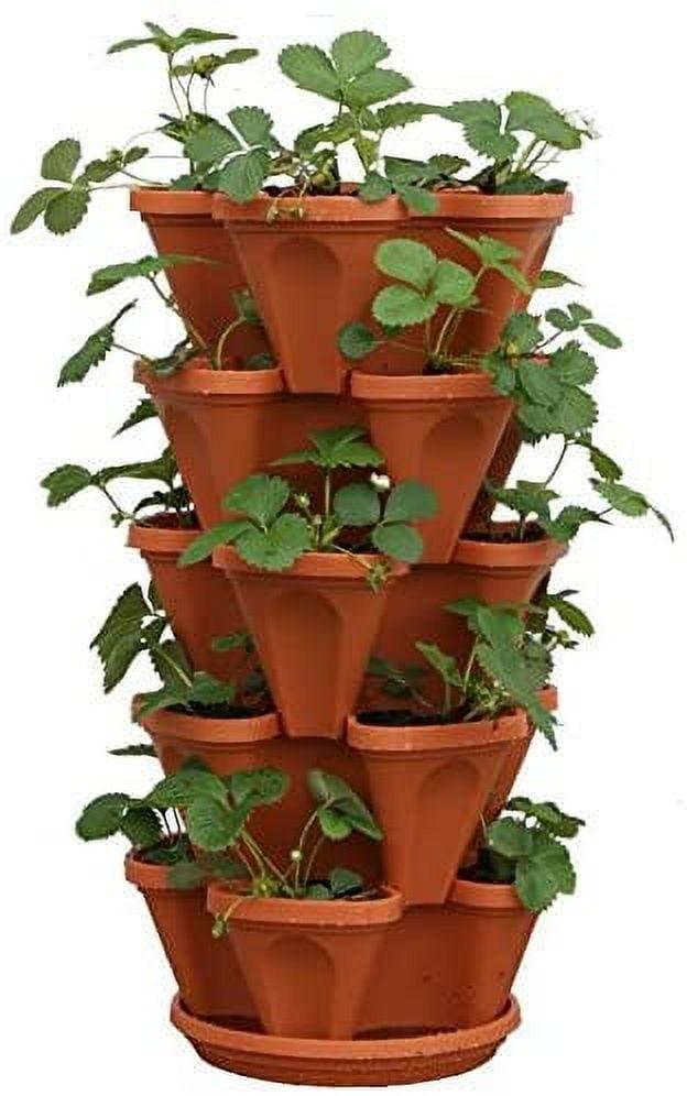 Mr. Stacky 5-Tier Strawberry Planter Pot, 5 Pots