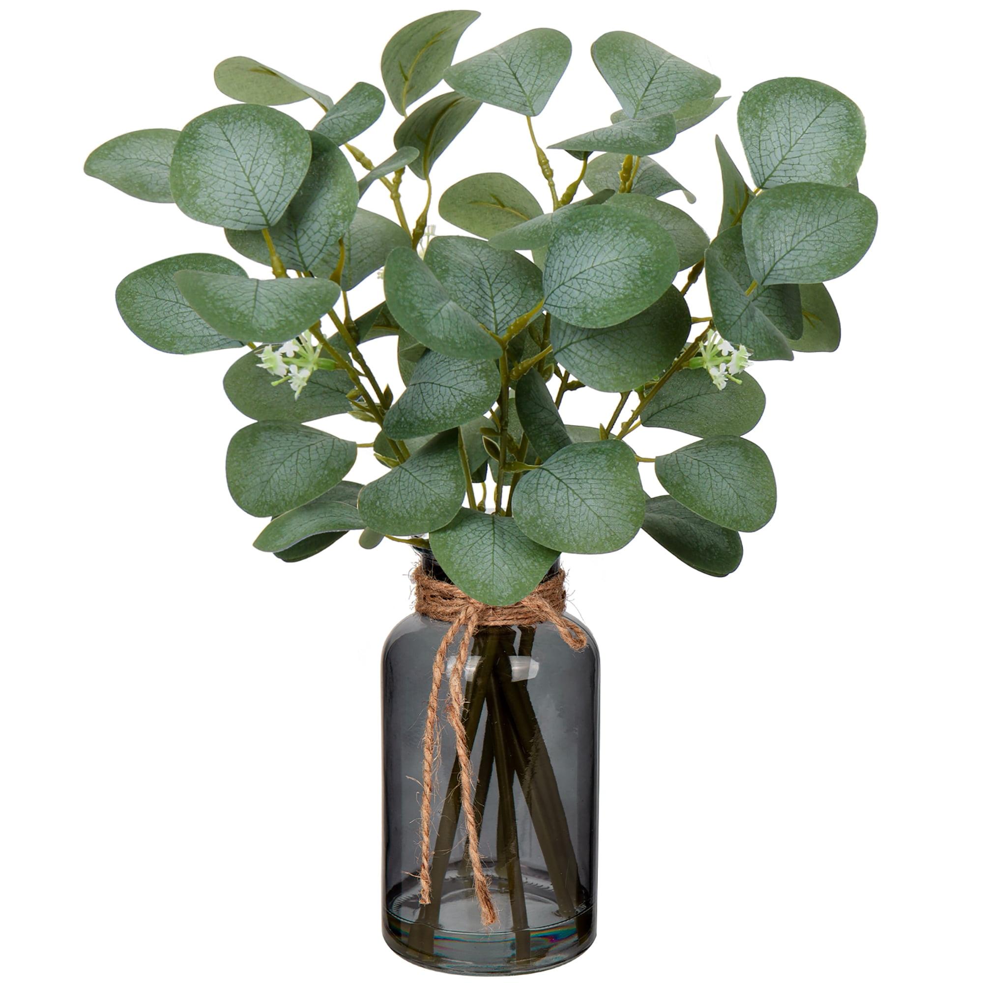 Ophelia & Co. Artificial Eucalyptus Stems In Black Glass Vase With Faux Water, 14" Fake Plant Eucalyptus Leaves For Home Office Farmhouse Wedding Centerpiece Décor